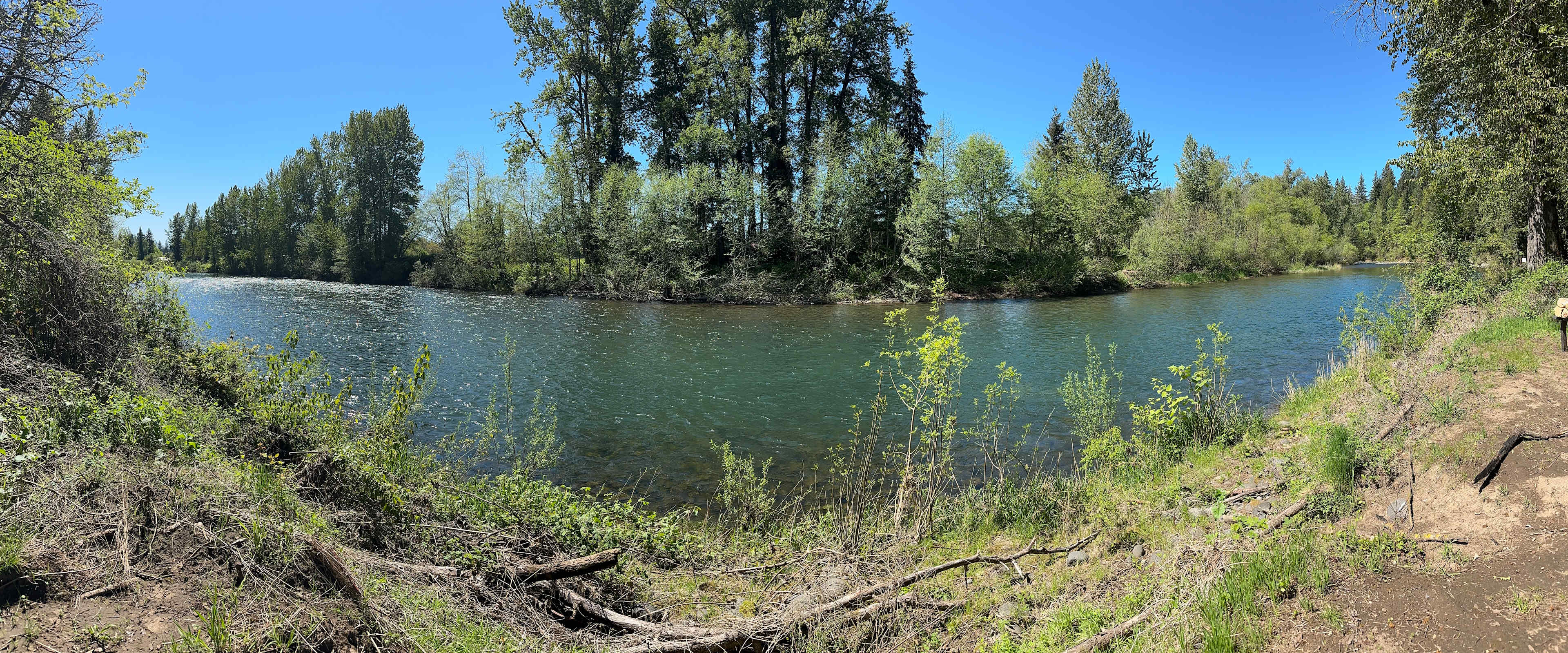 Molalla Ripple