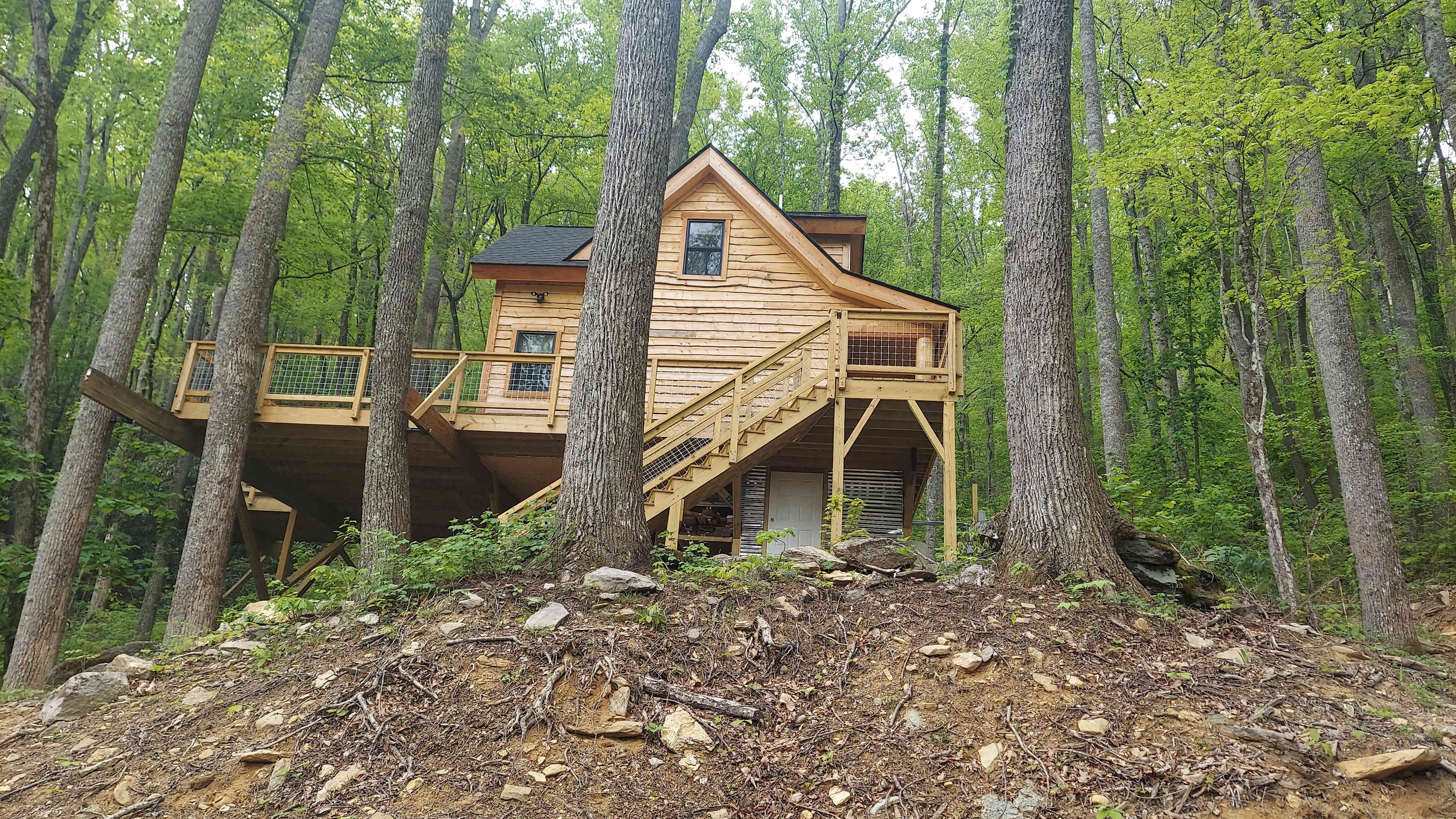 Beary Cozy Treehouse