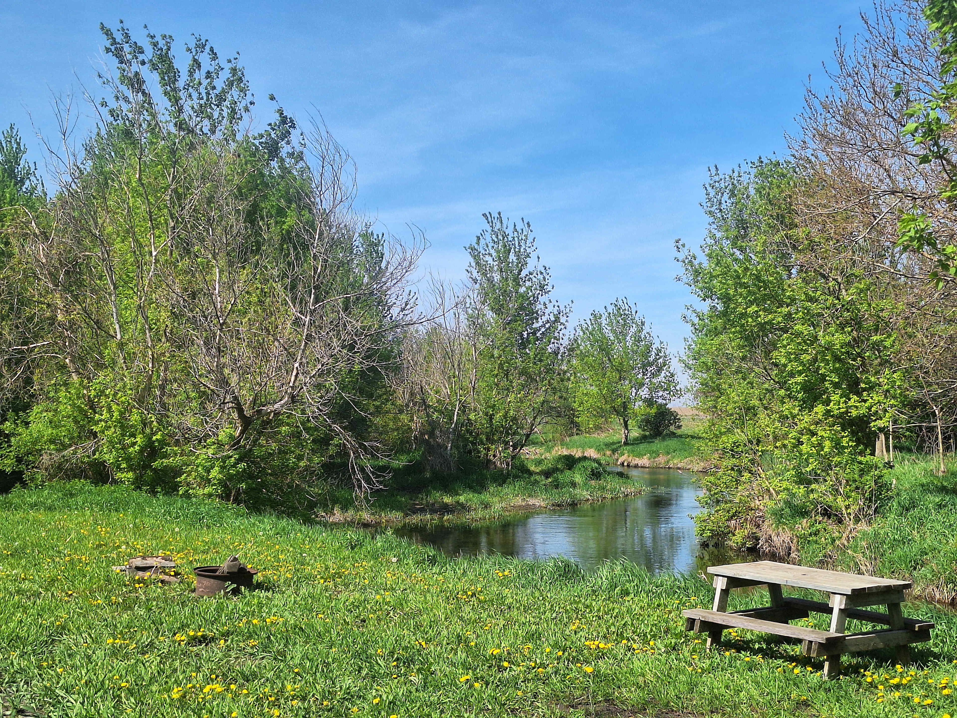 Picture of the site
