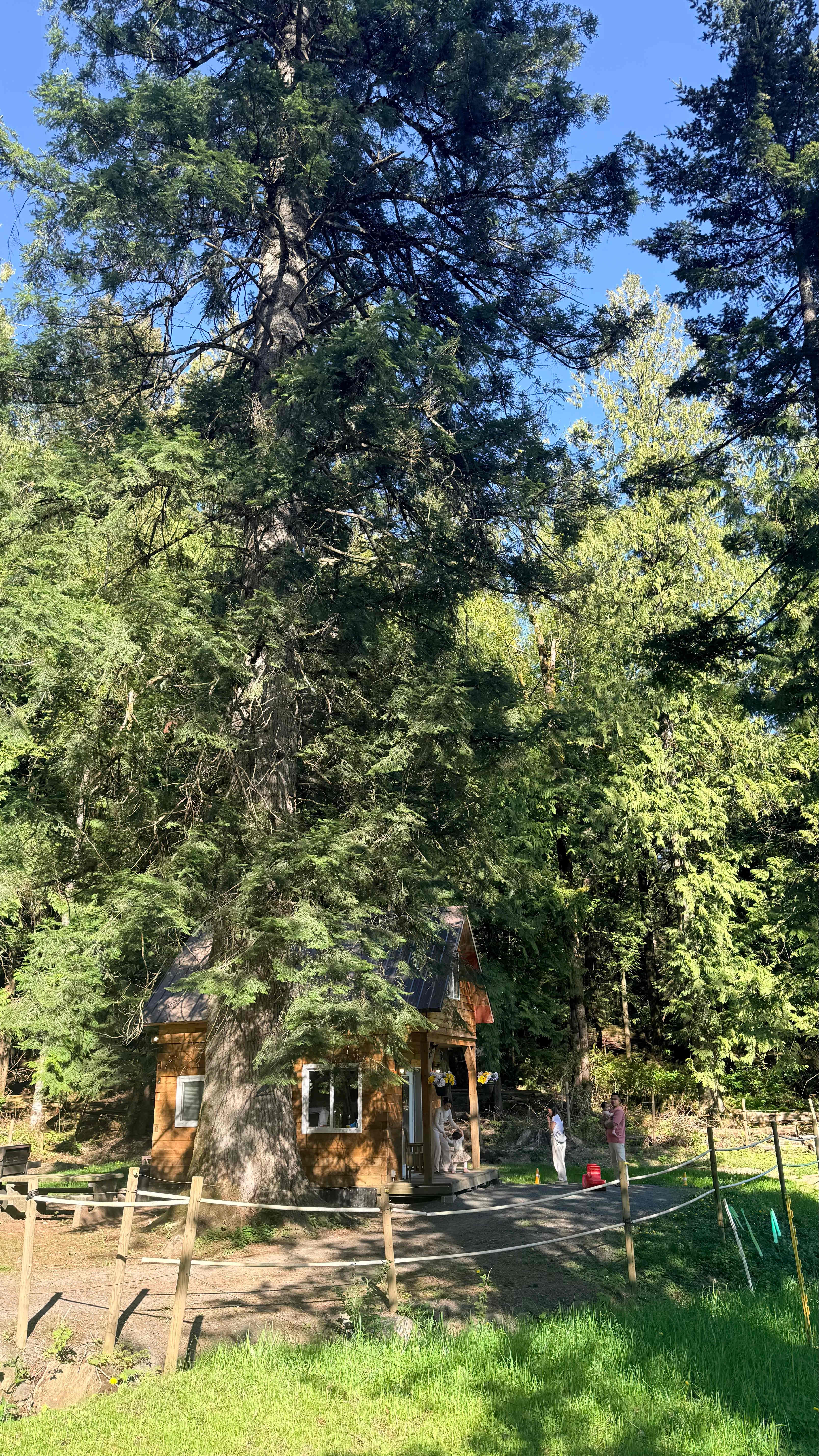 Lakewood Cabins