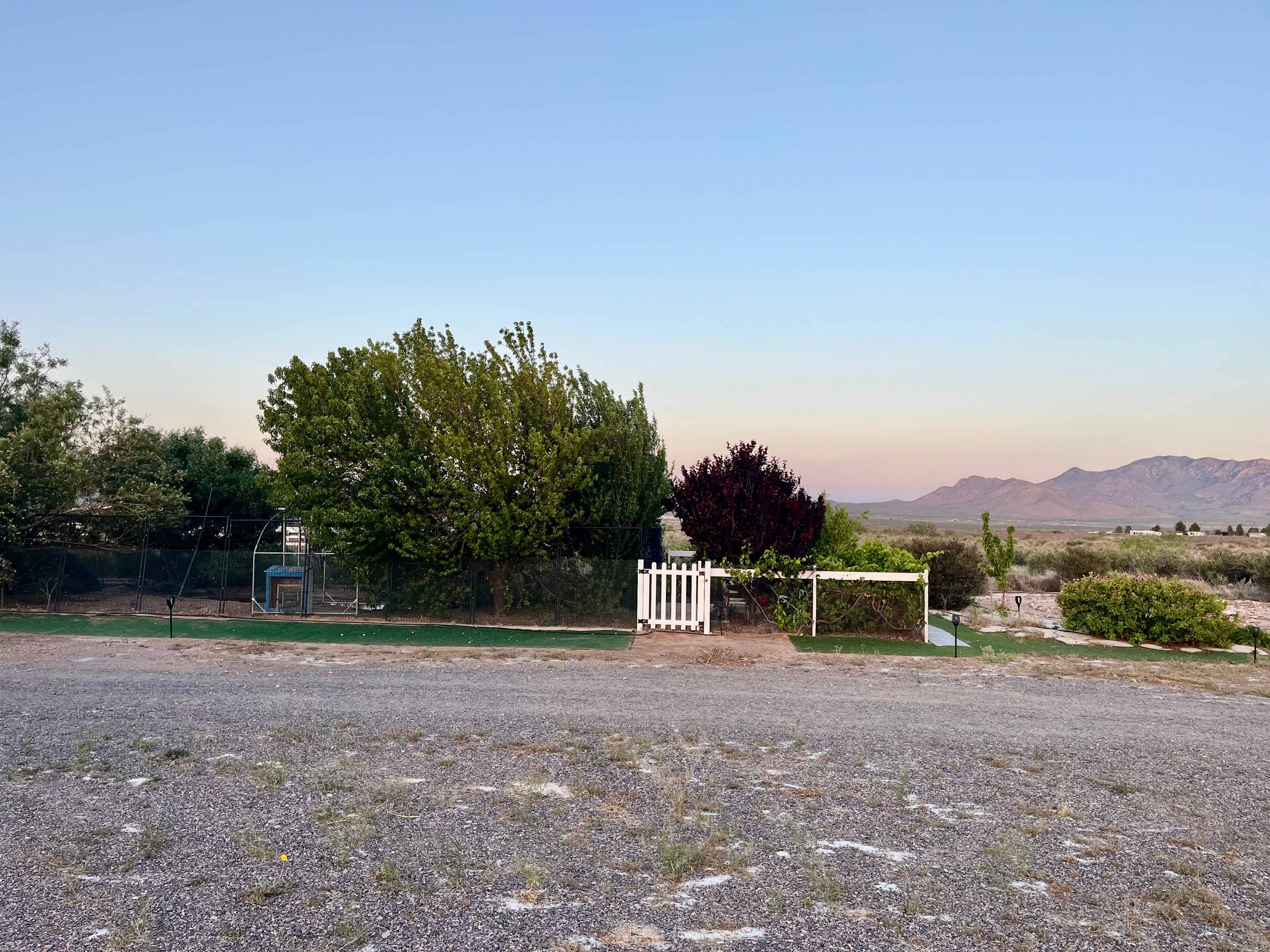 Picture of the site