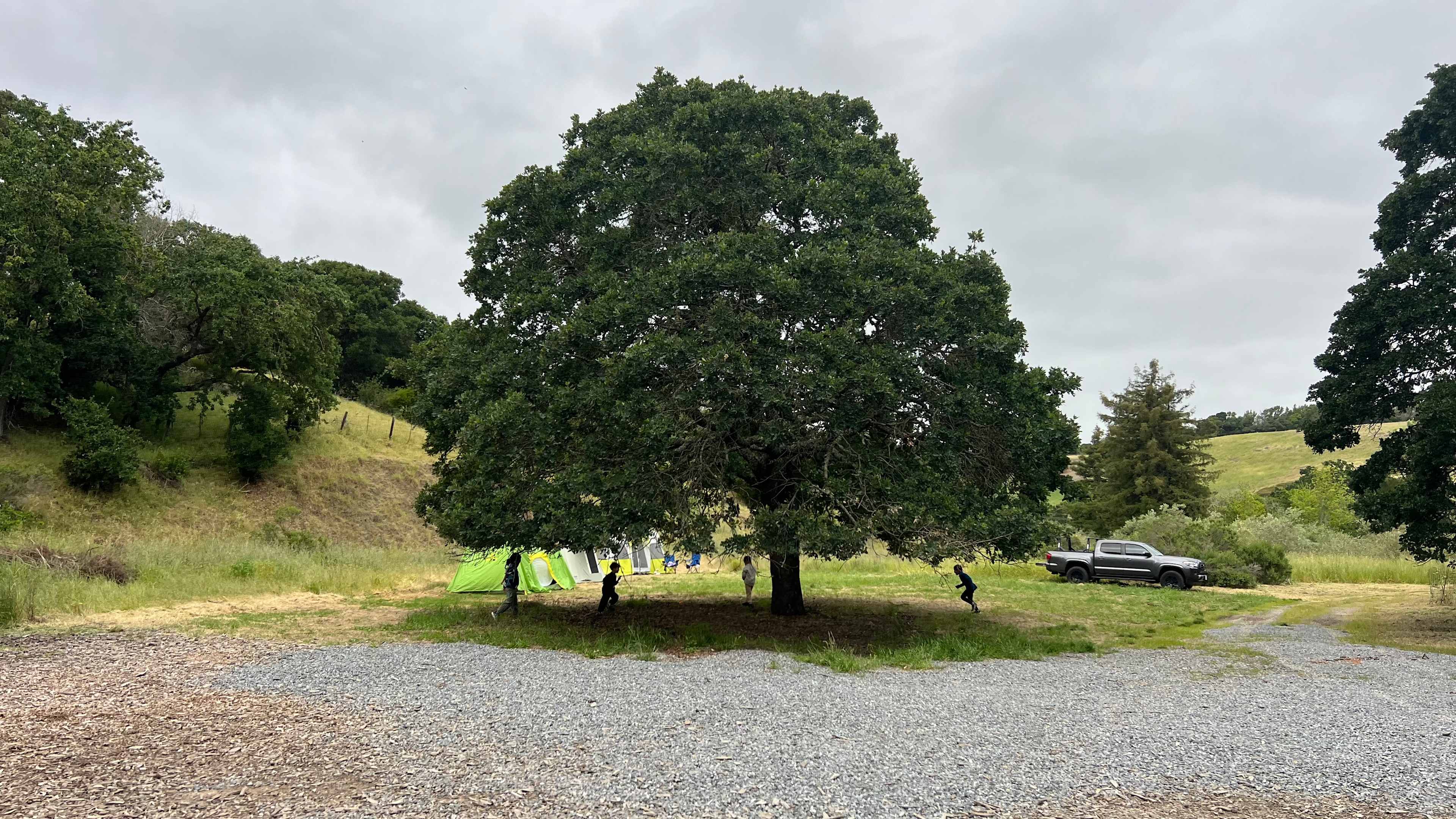 Camp area