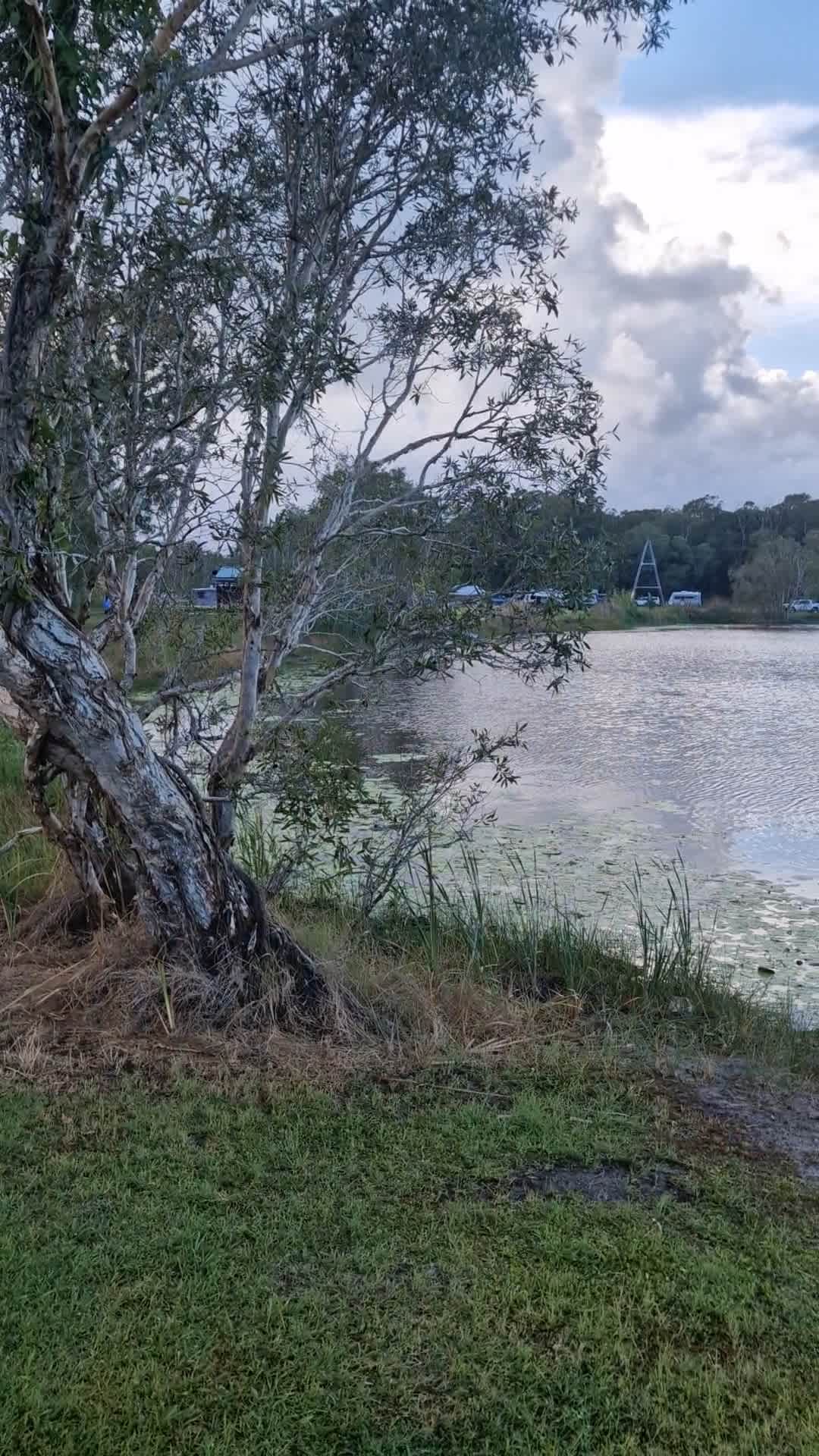 Lakeview