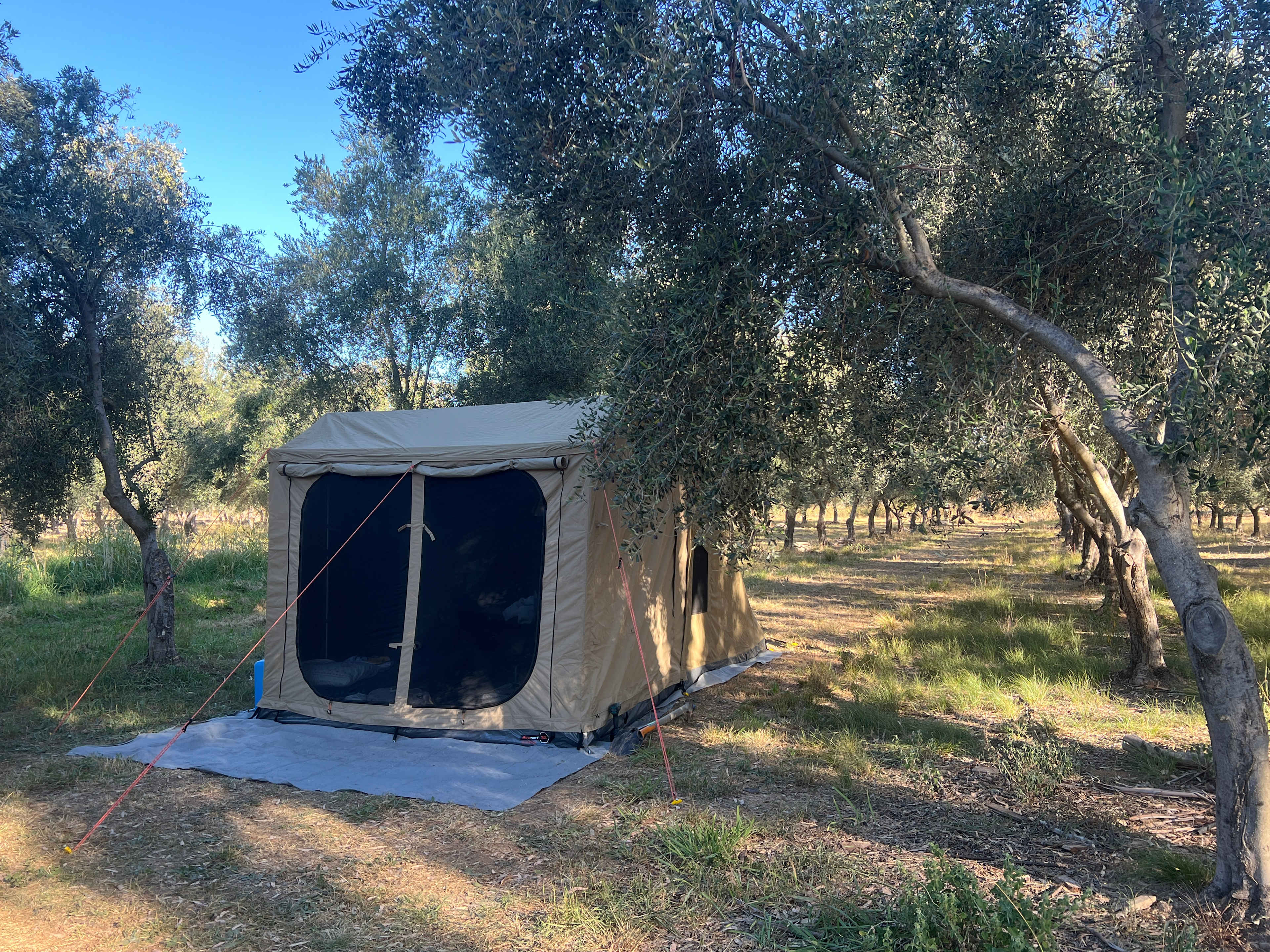 Camping in the Rosnay Olive Grove