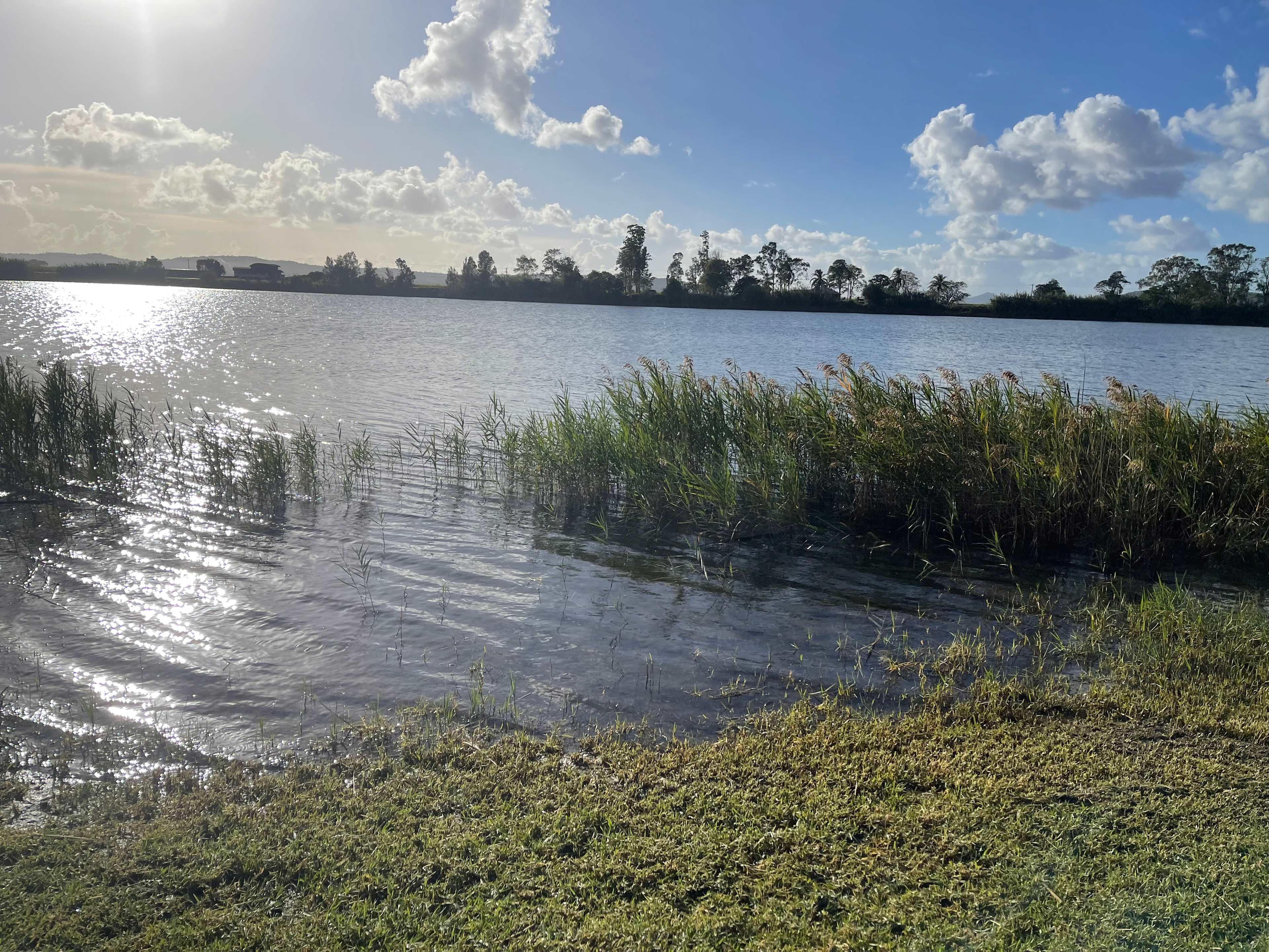 Riverbank