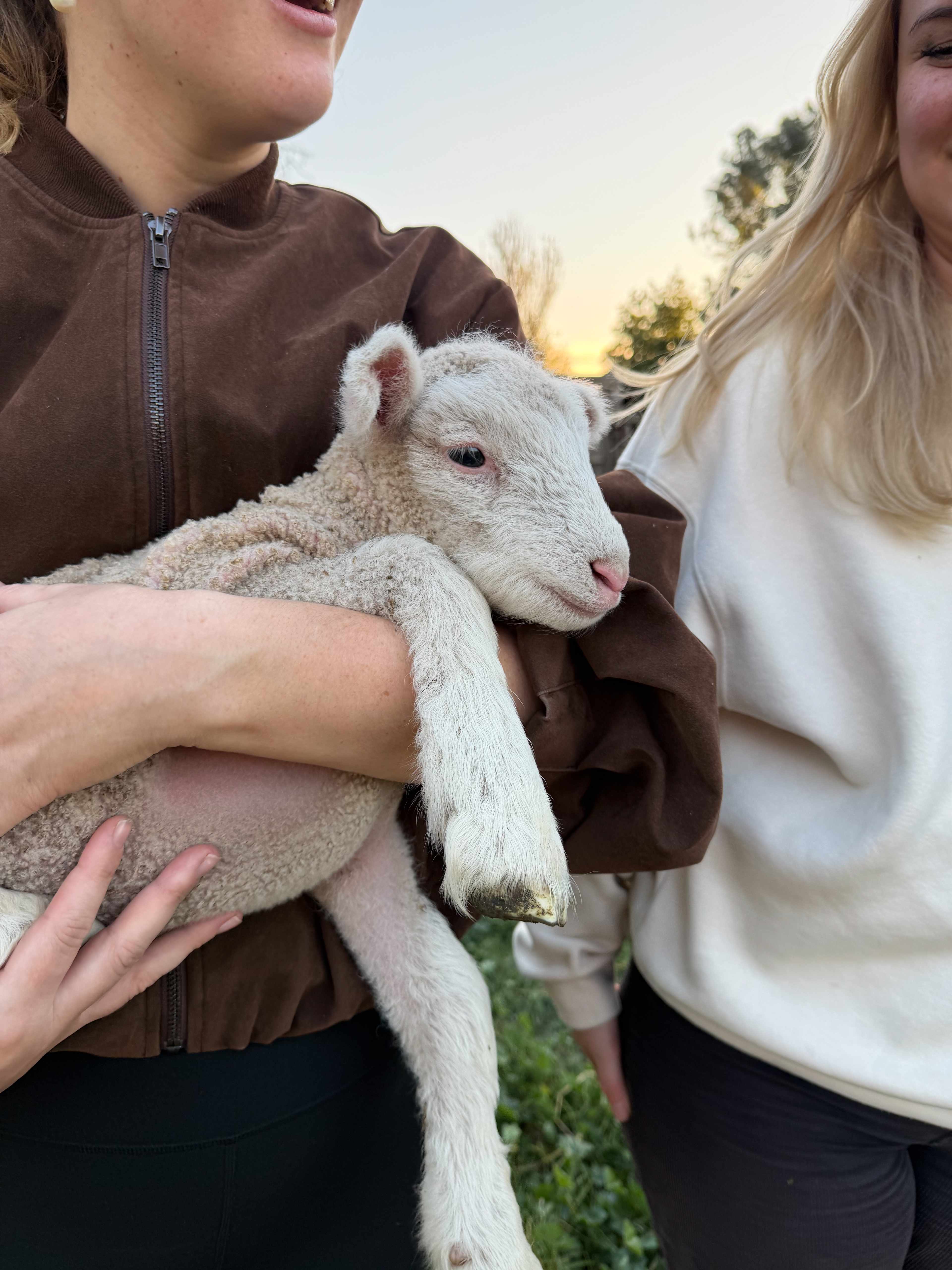Nillawarre Farm Stay