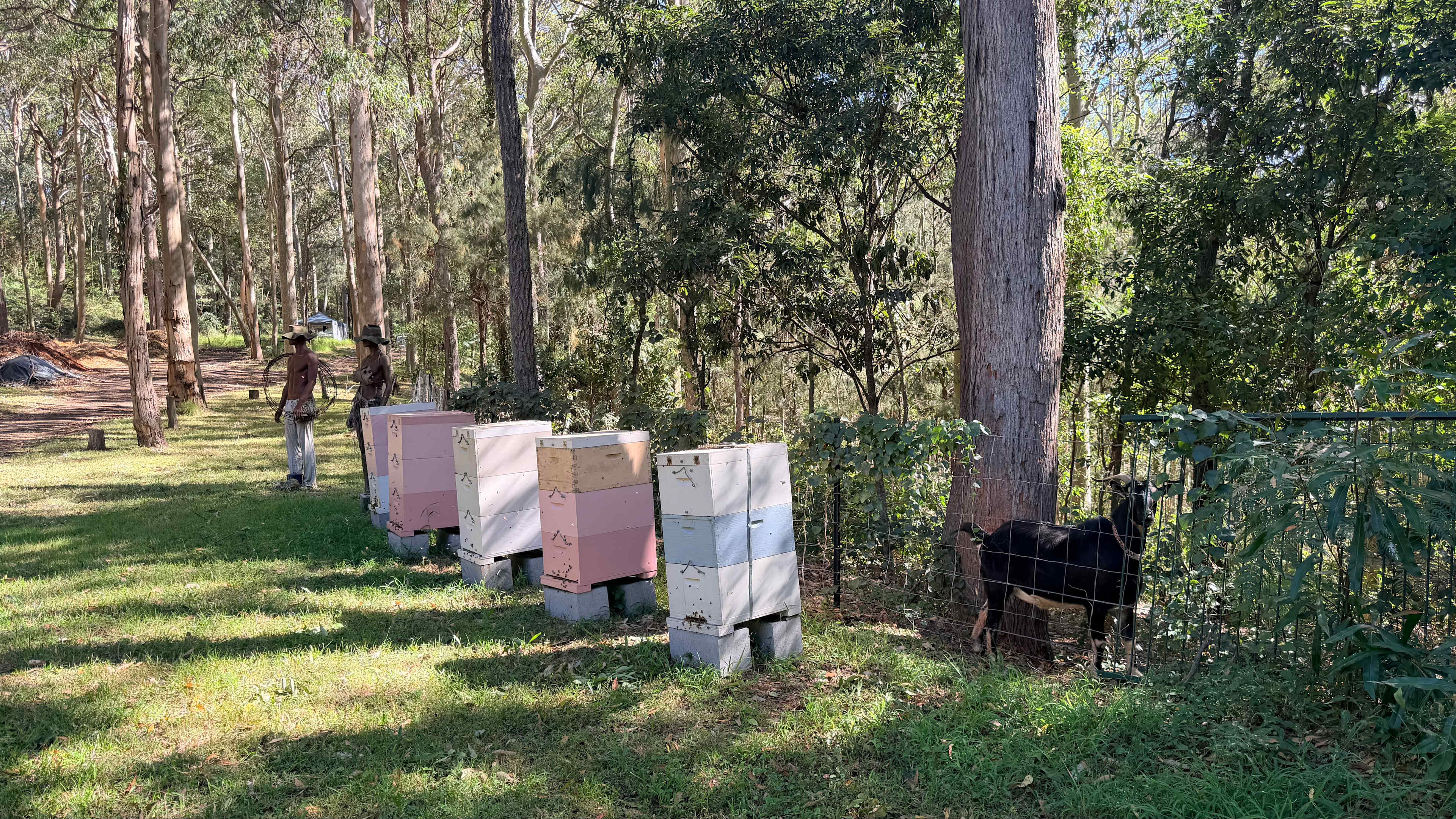 La Cascina