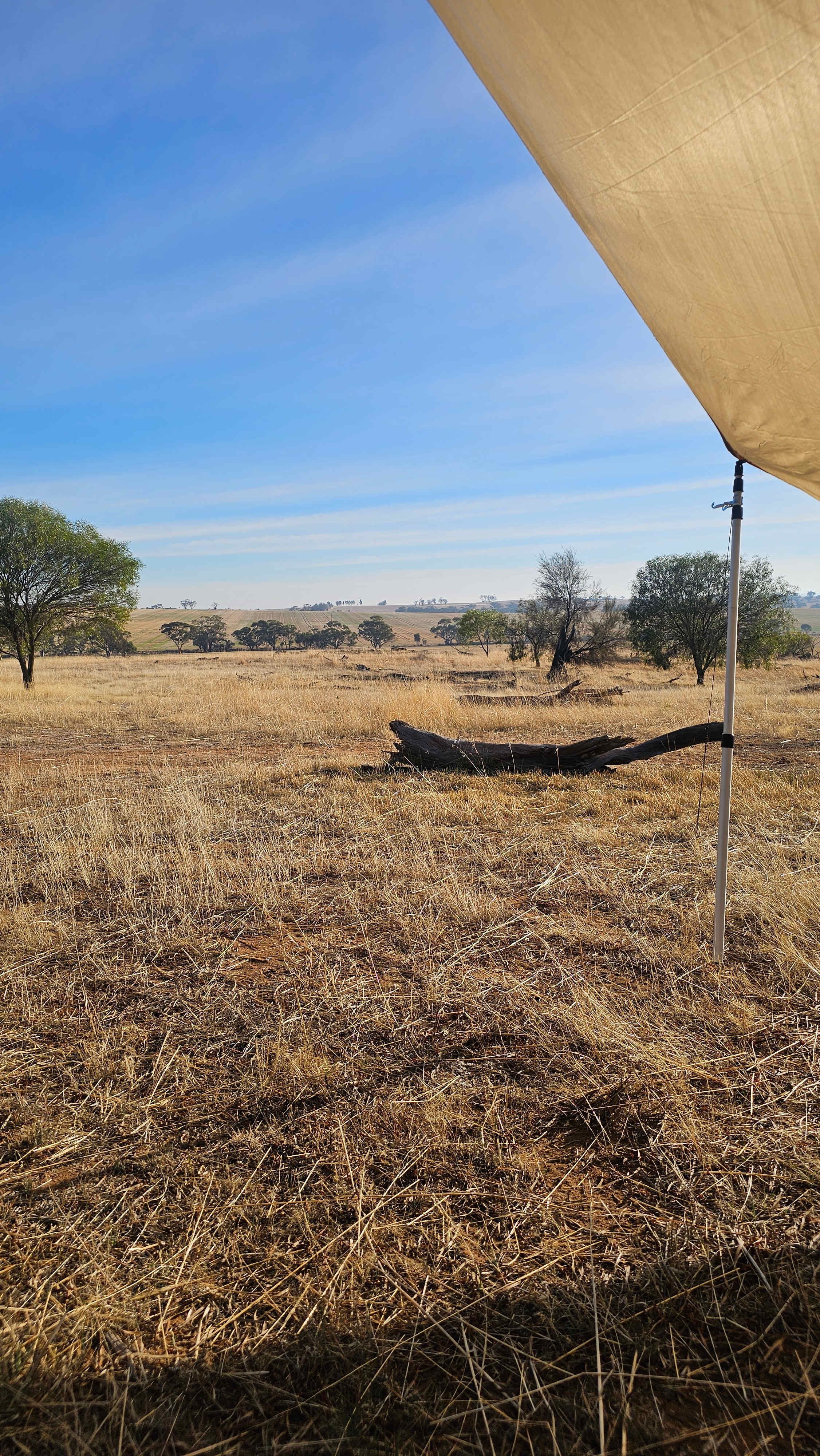 Qualin Farm bush camp