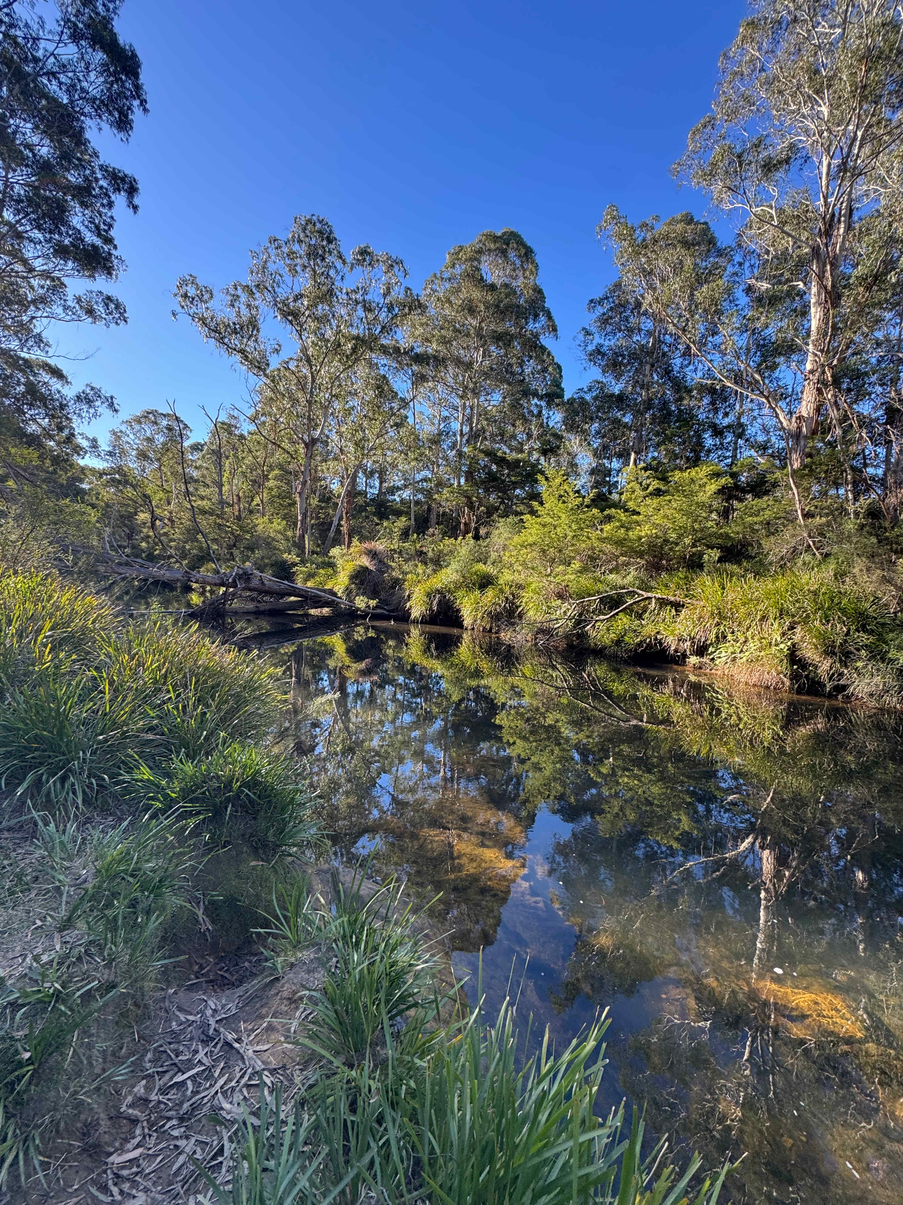 Gorgeous River