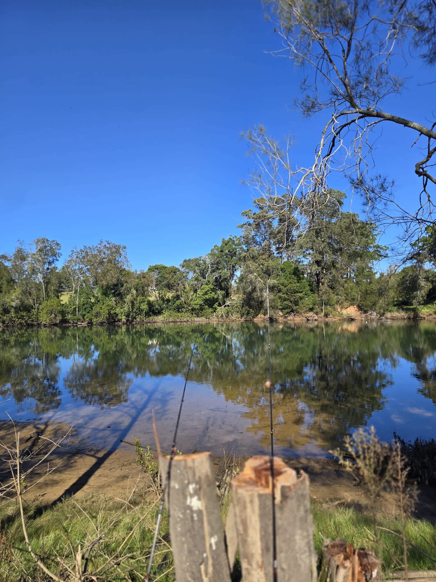 Riverlea Green,  Nambucca Valley