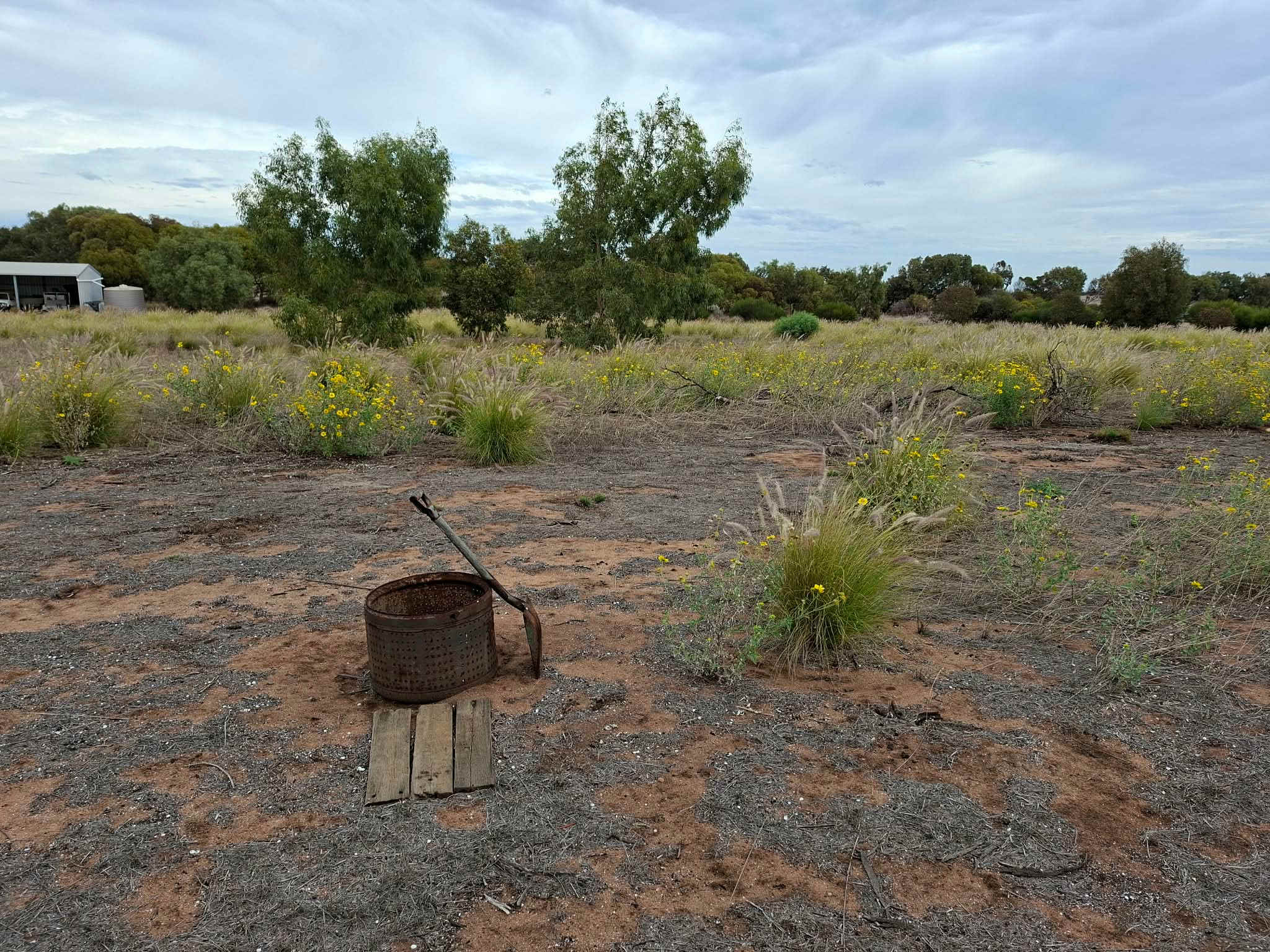 Picture of the site