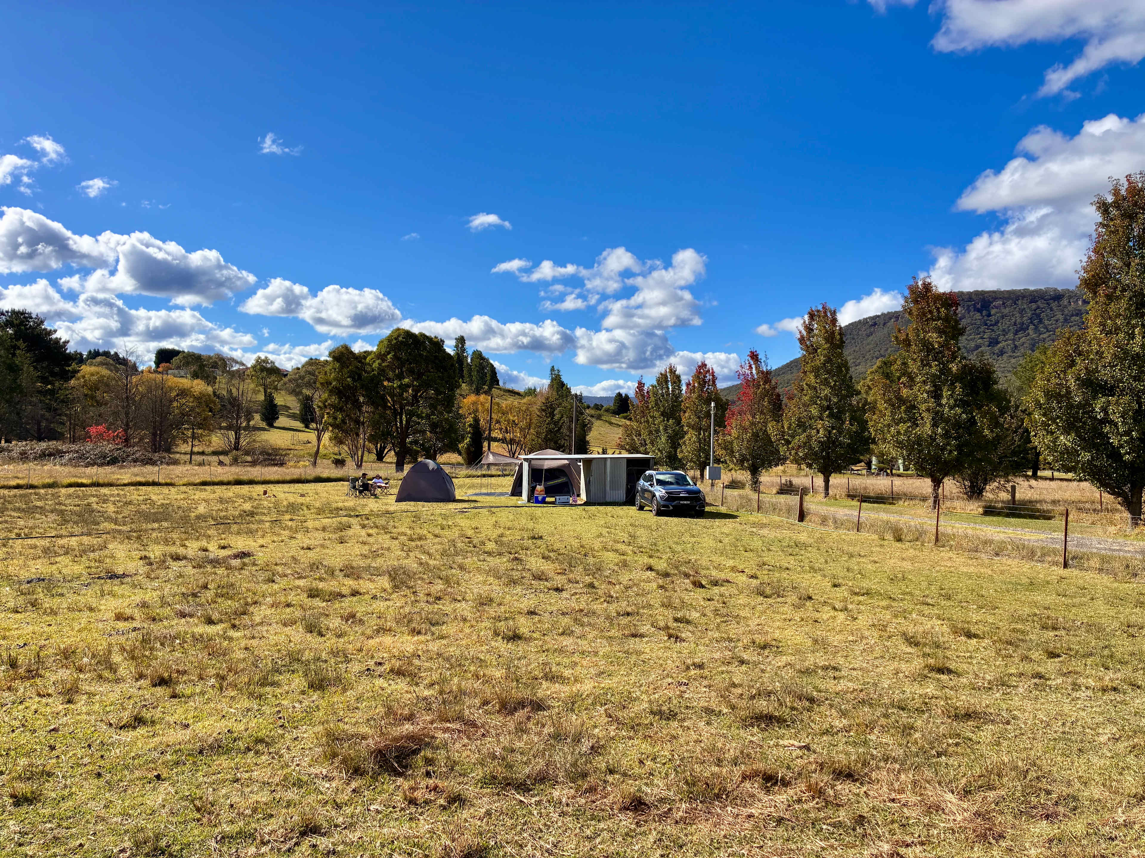 Plain paddock