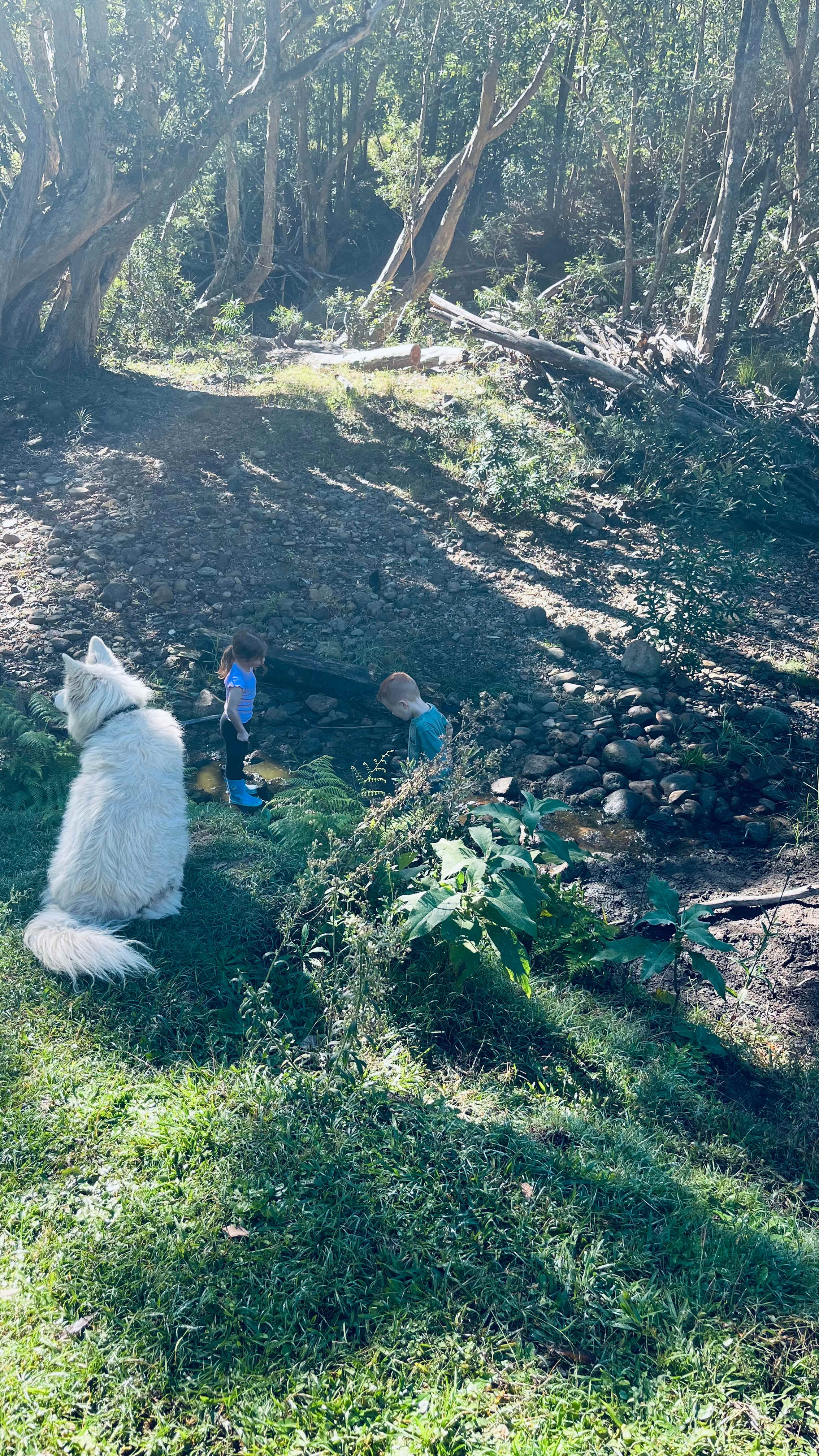 Little Forest Farmstay