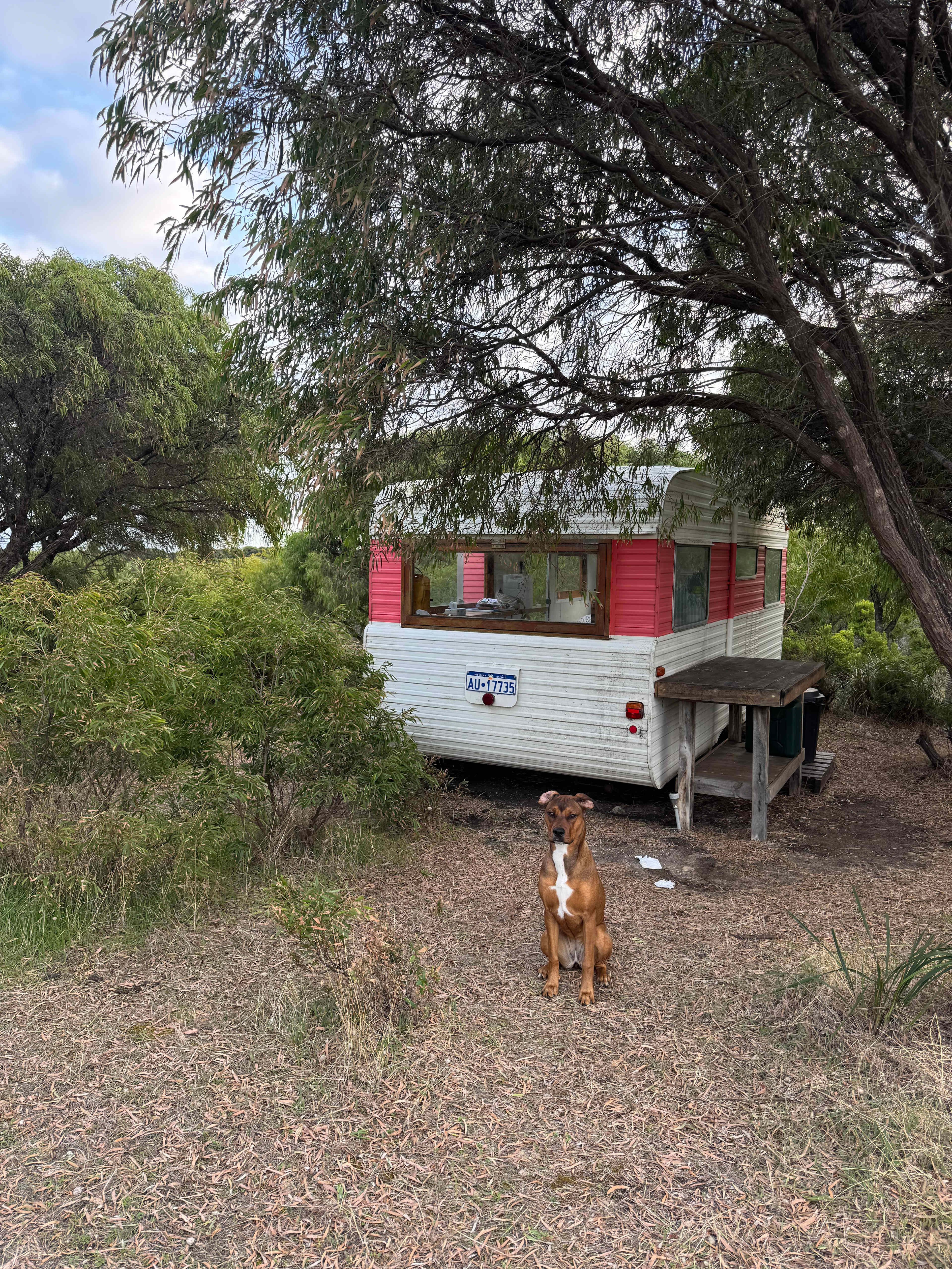 Cliffy the Caravan