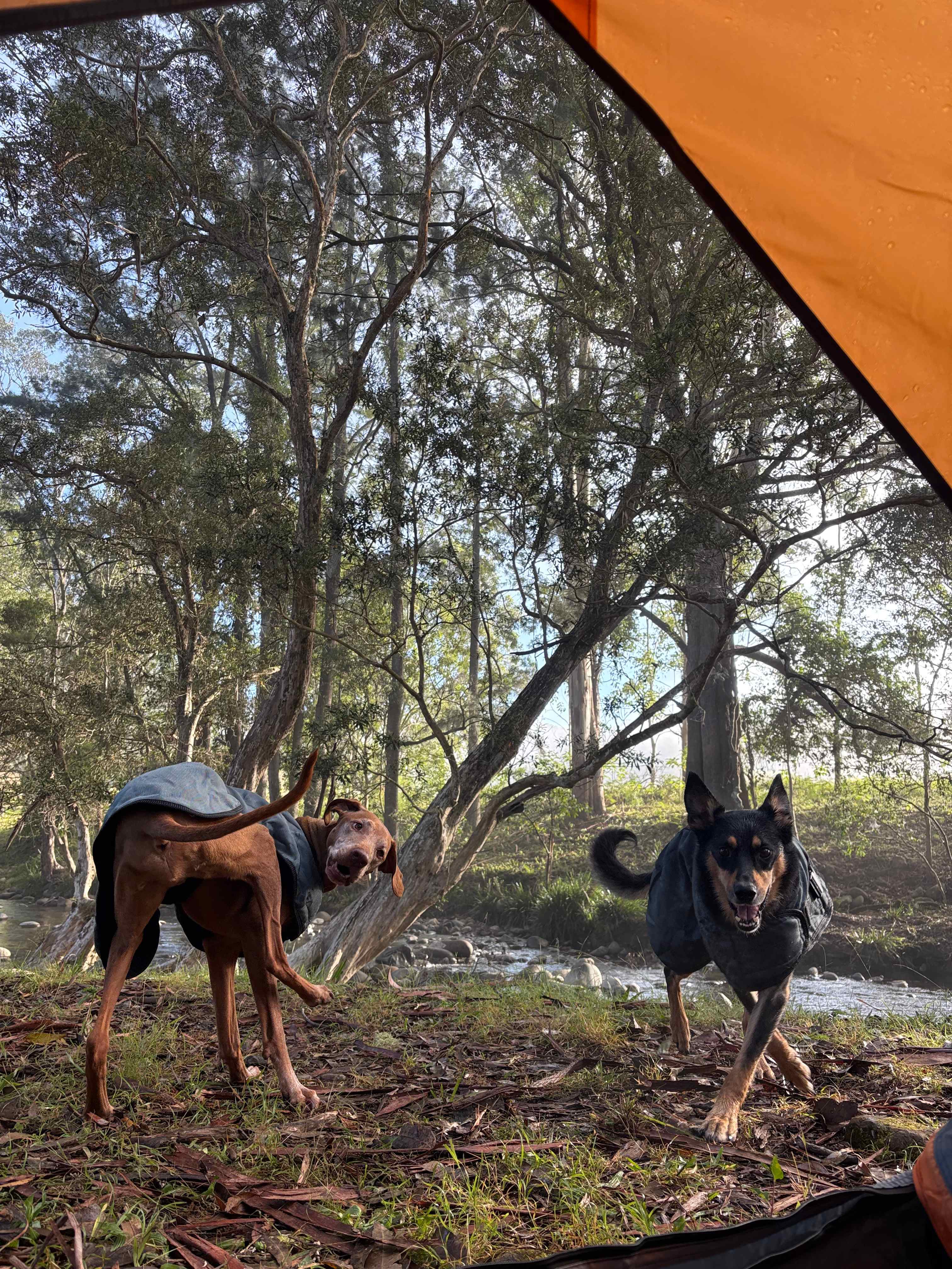 Riverbend Retreat Solo camping