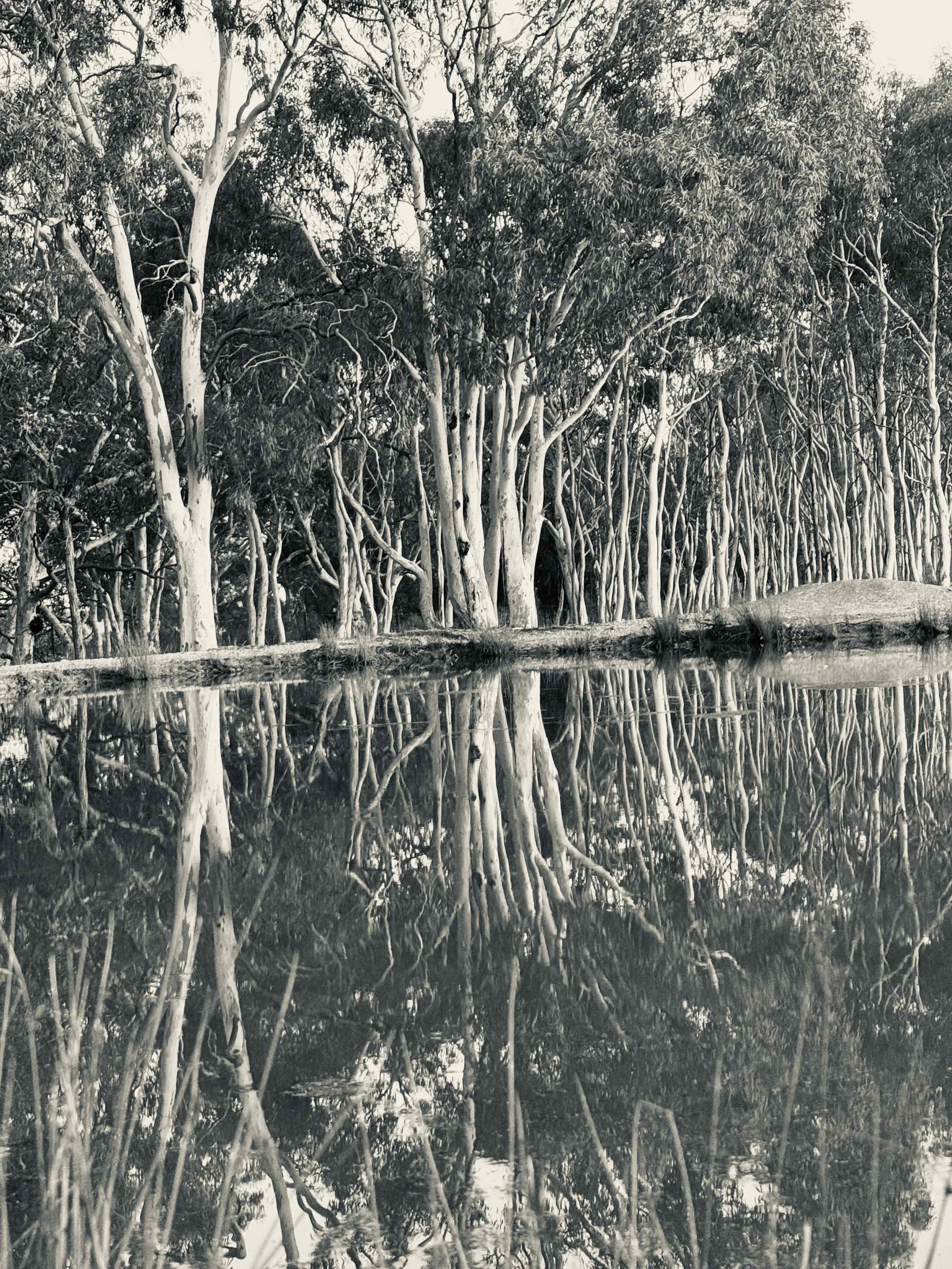 Bunyip Jerrawa