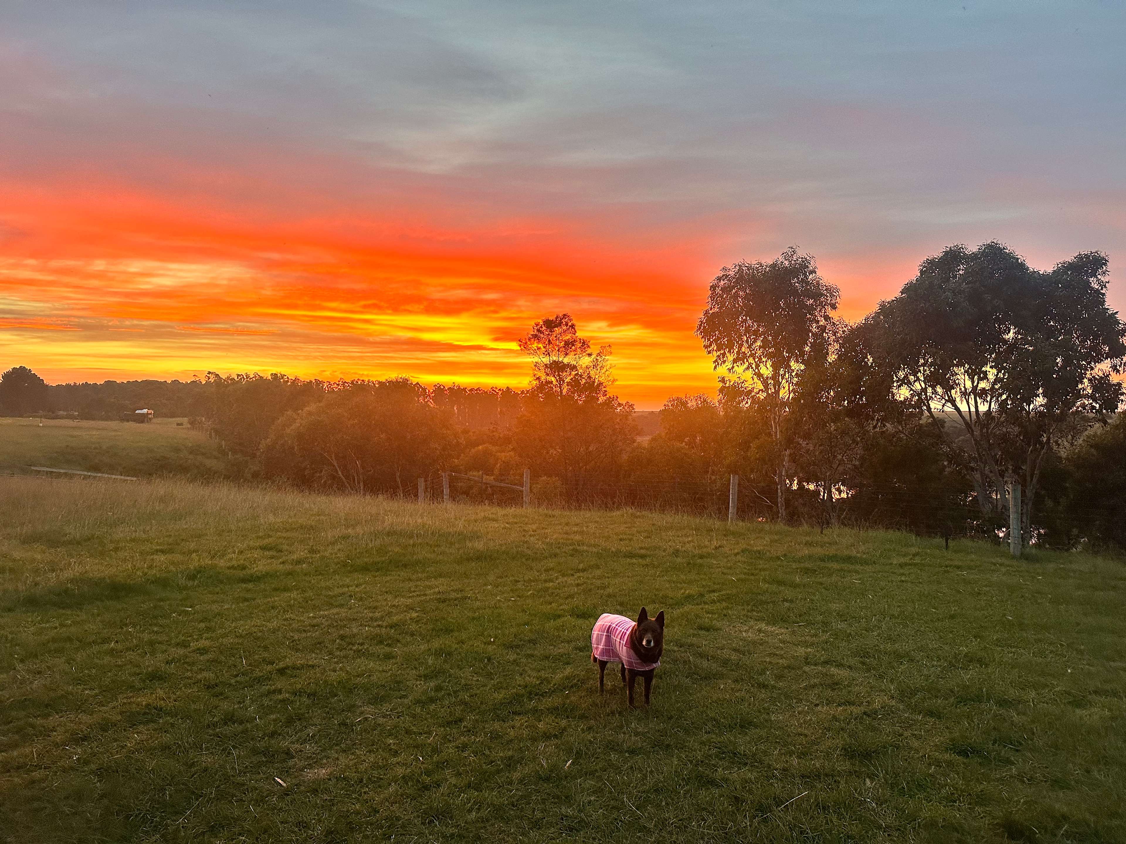 Beautiful sunset 