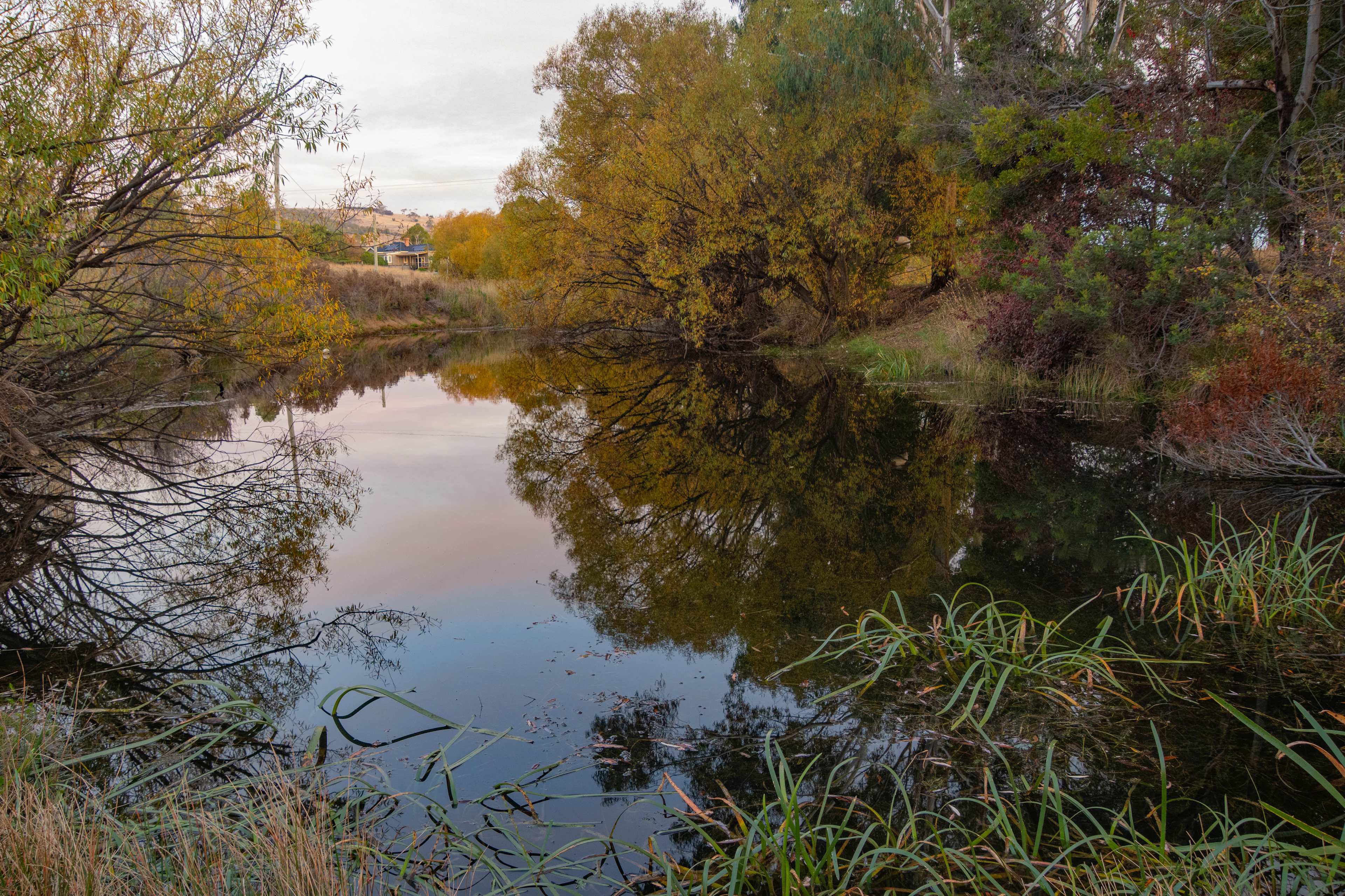 Coal River Retreat- Exclusive use