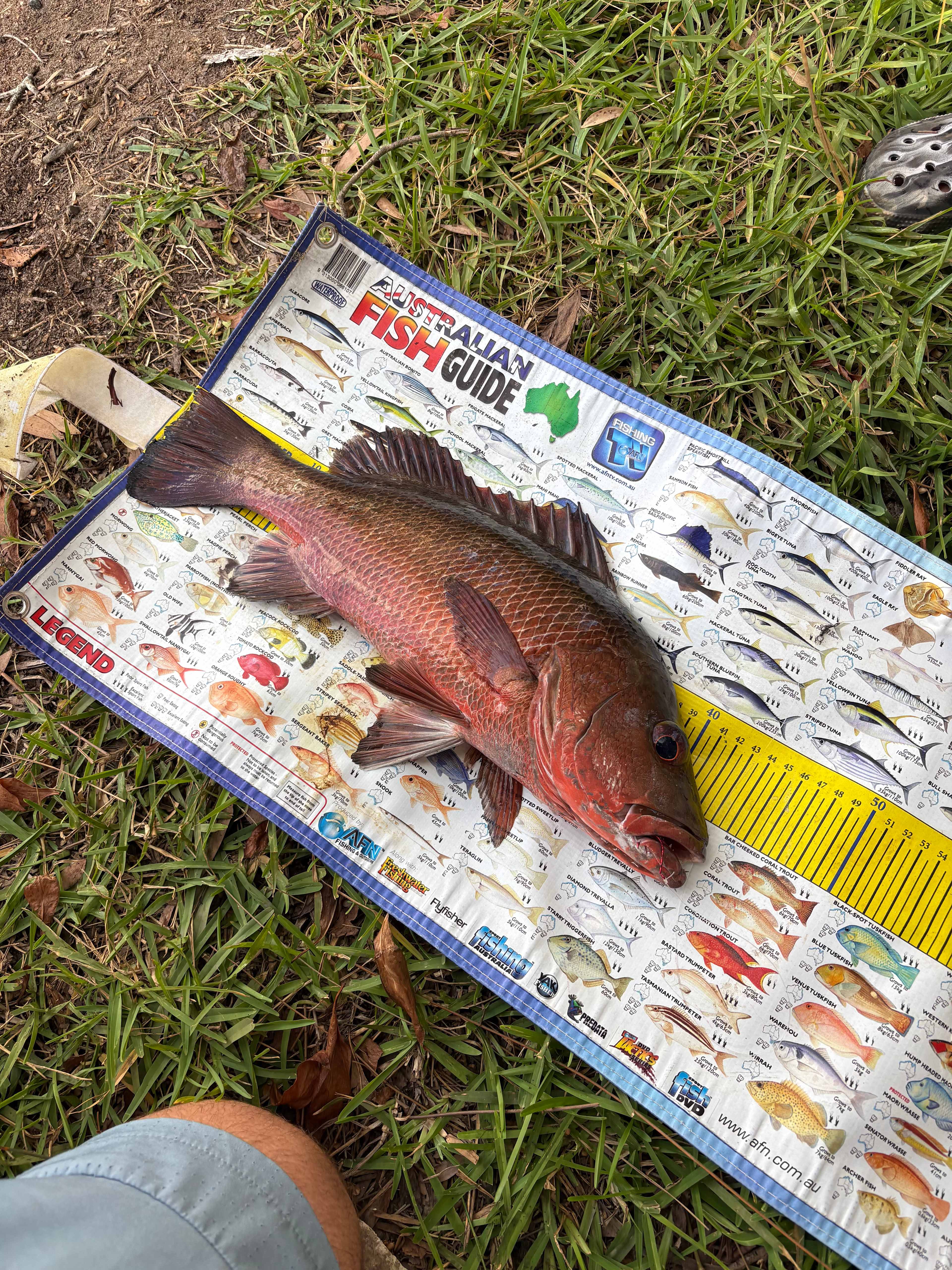 Noosa River Camping at Cooroibah