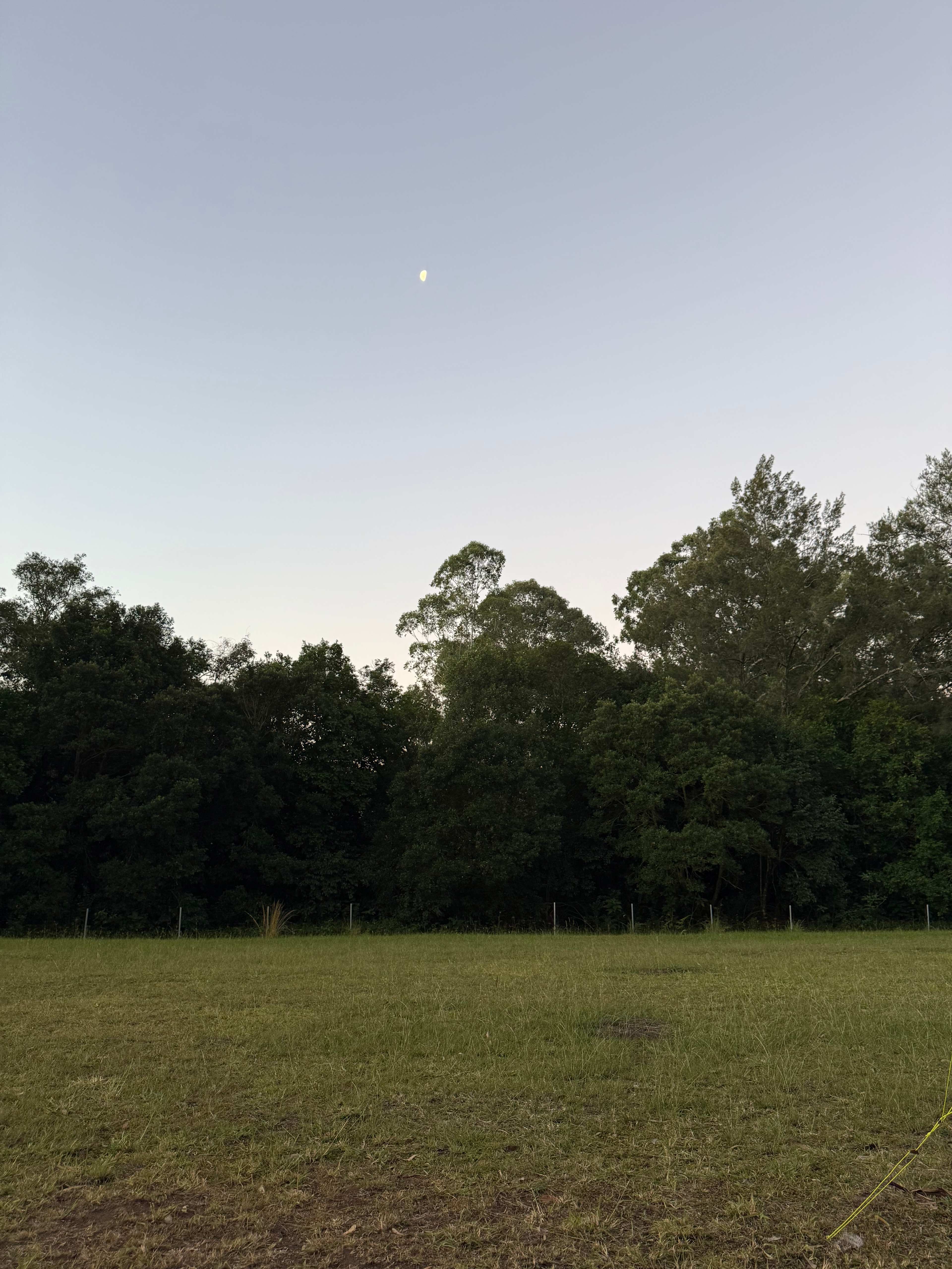 Platypus Creek