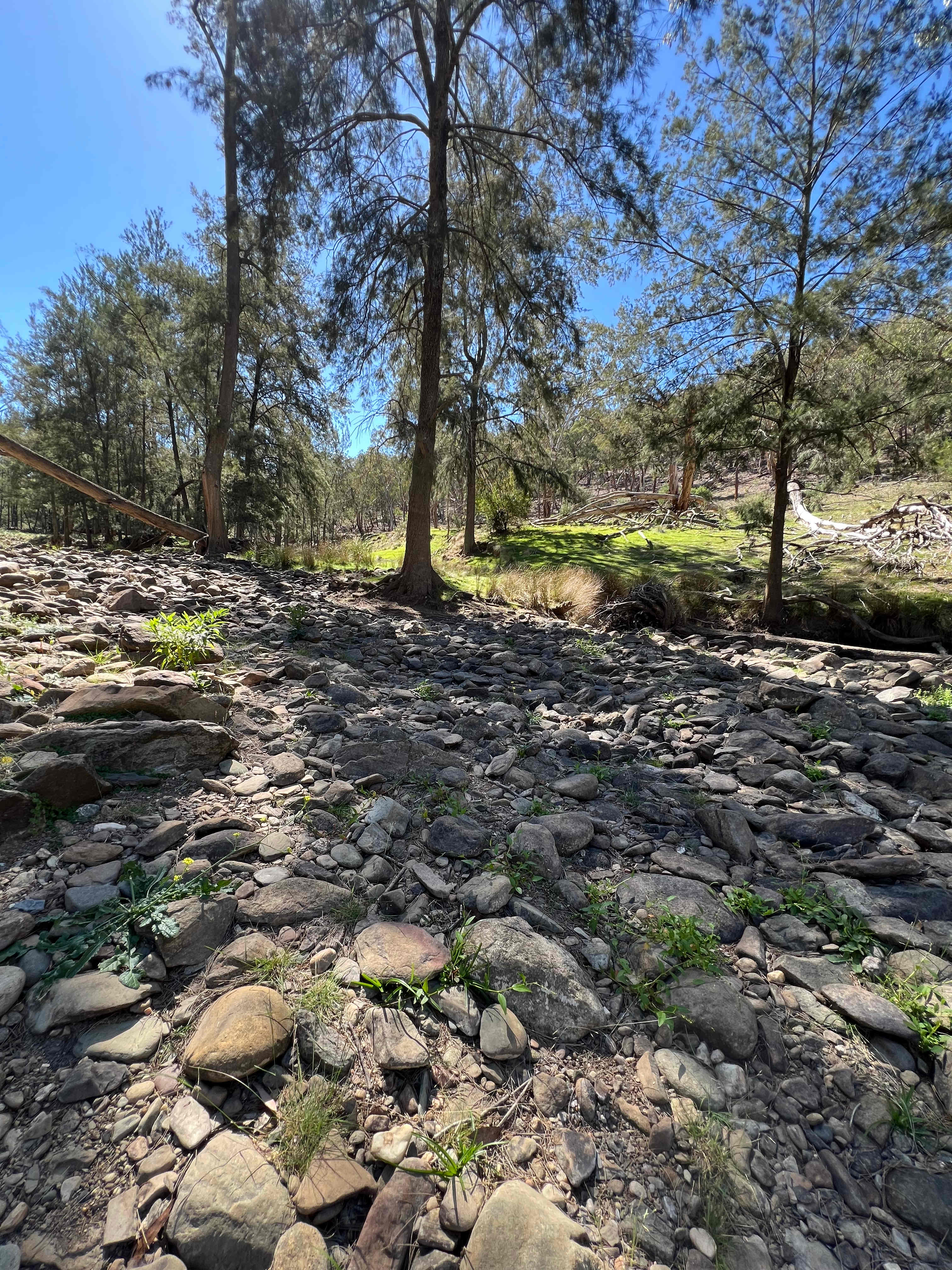 Camp Crudine