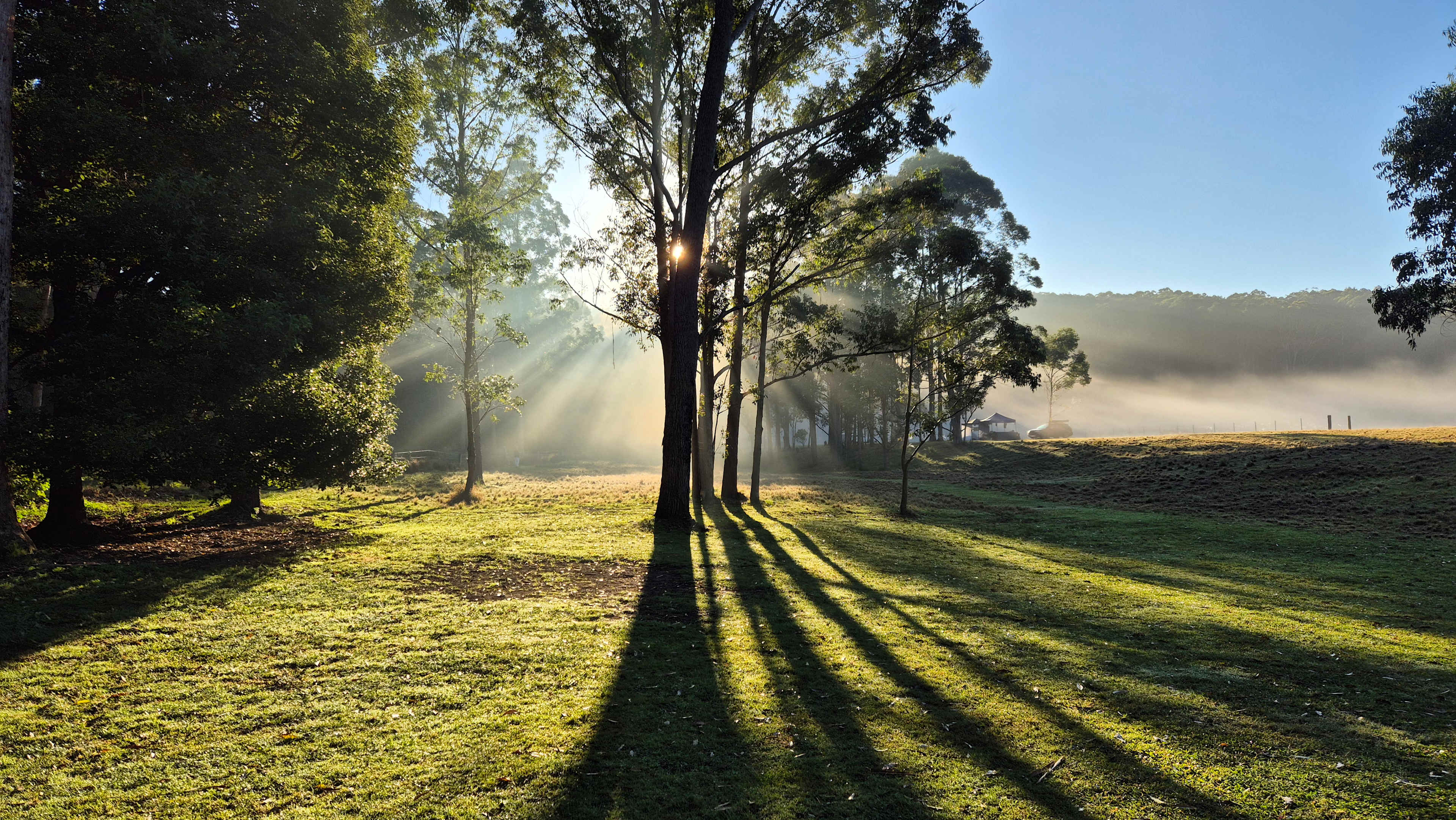 Morning misty sunrise