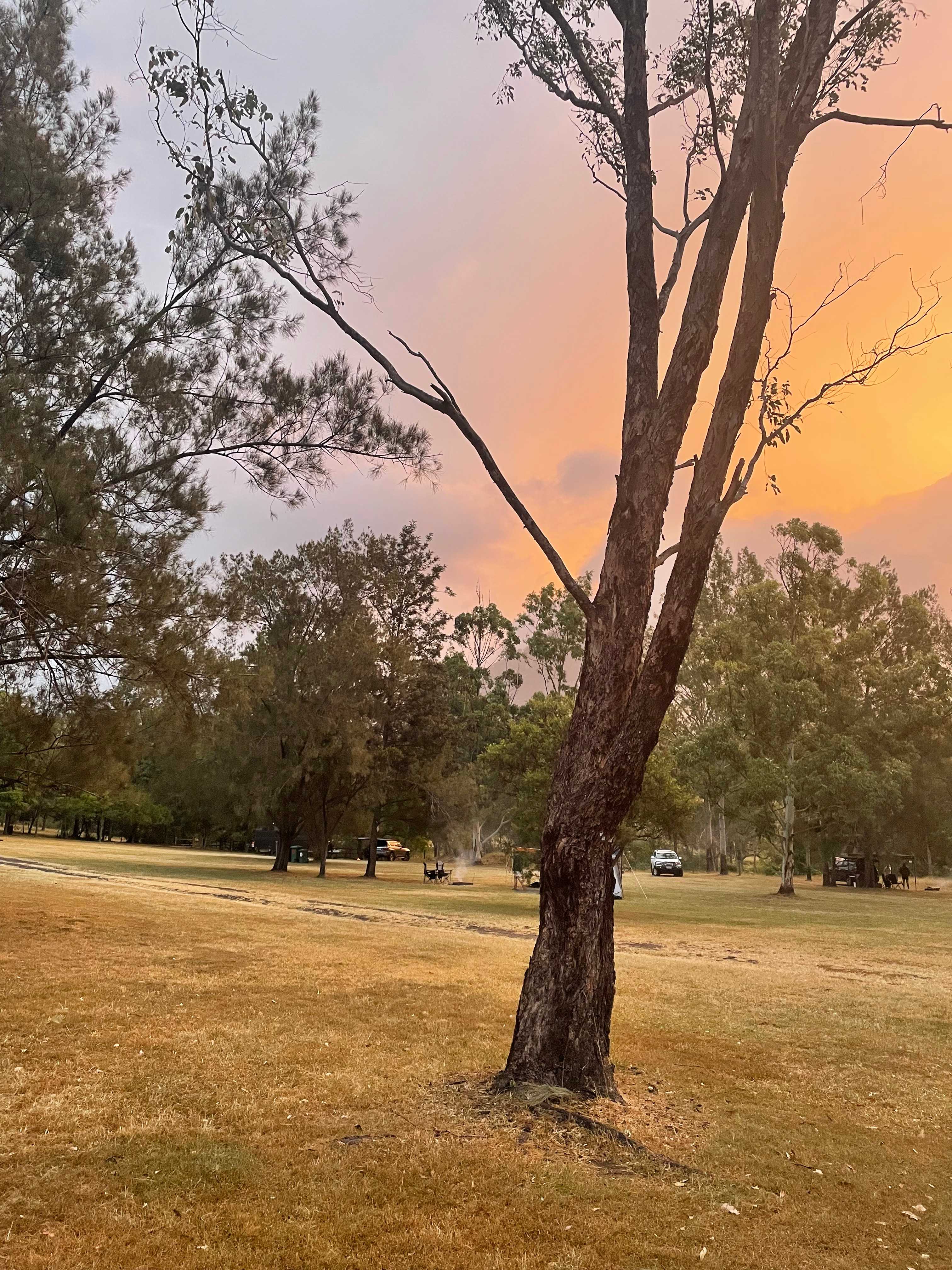 Site view sunset