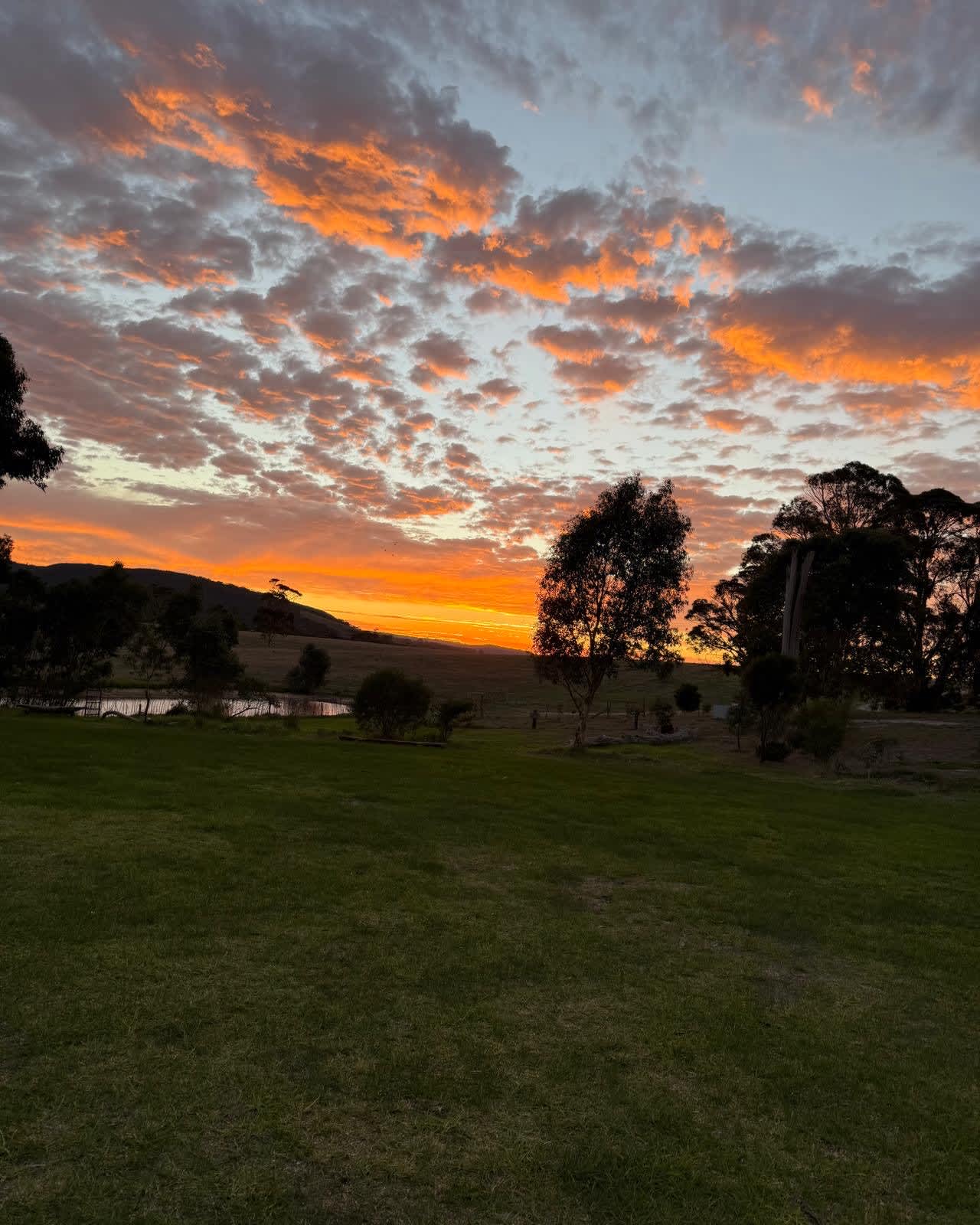 Alma's Hem Amphitheatre Retreat