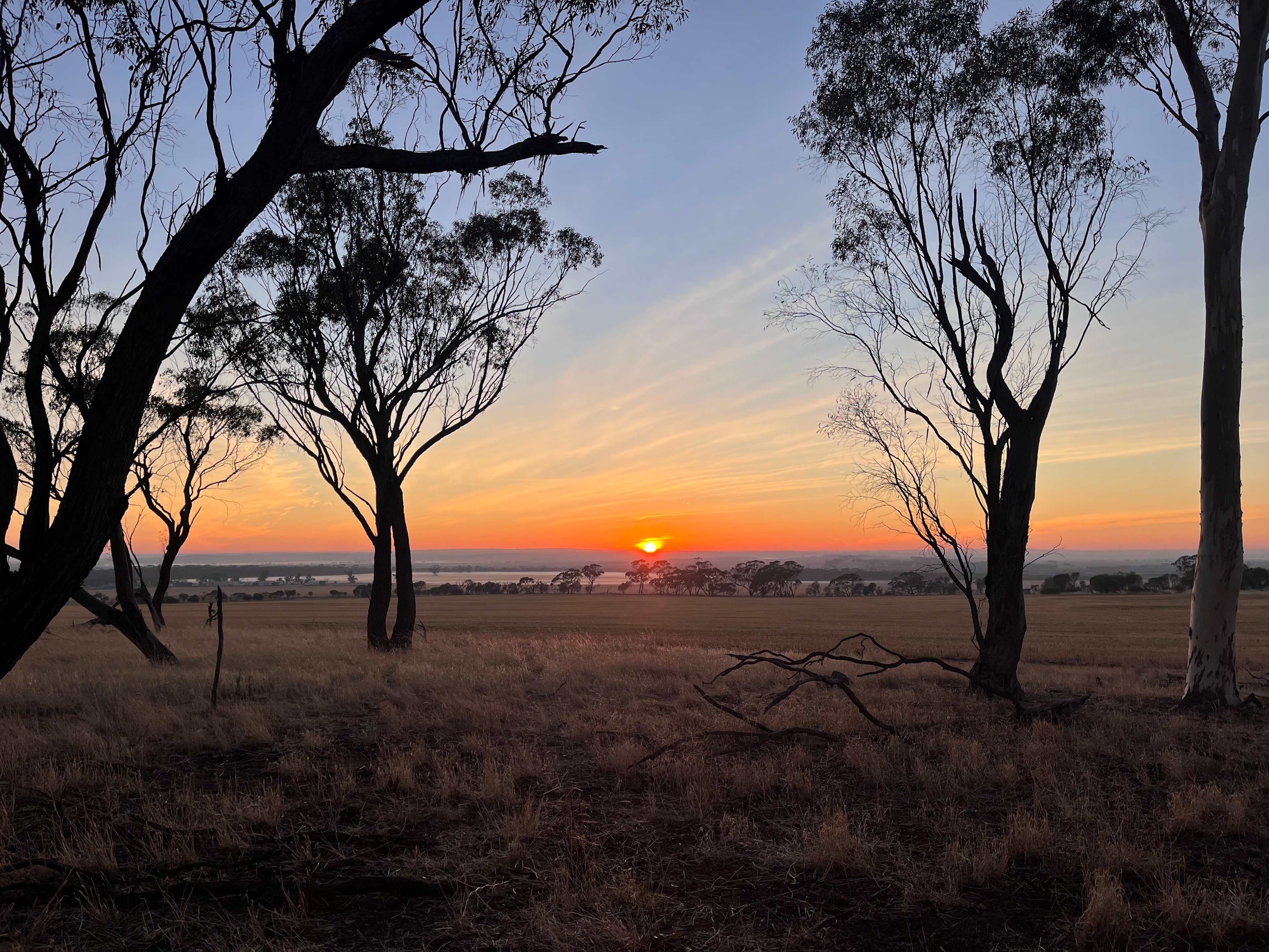Qualin Farm bush camp