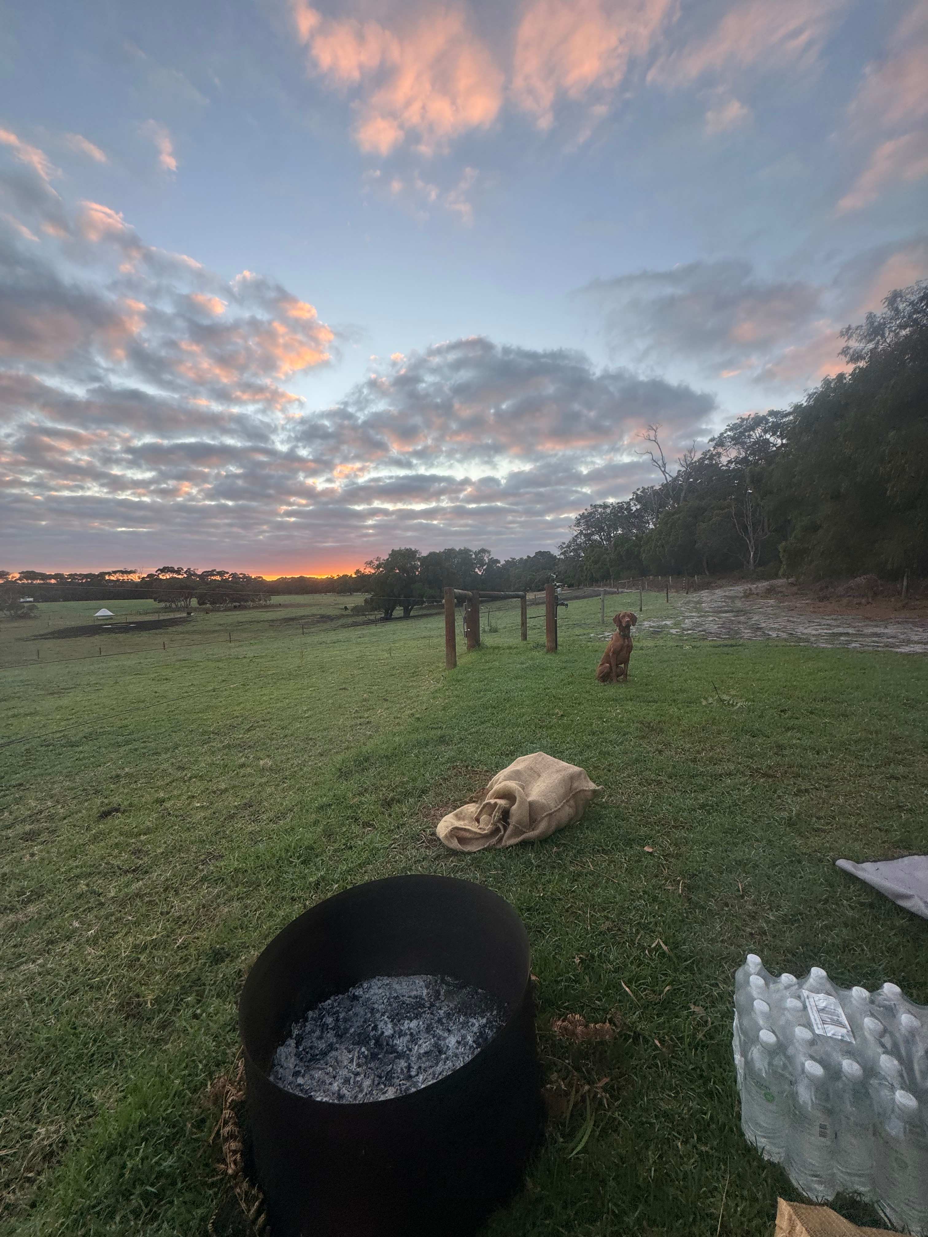 Dunmore Homestead Farmstay