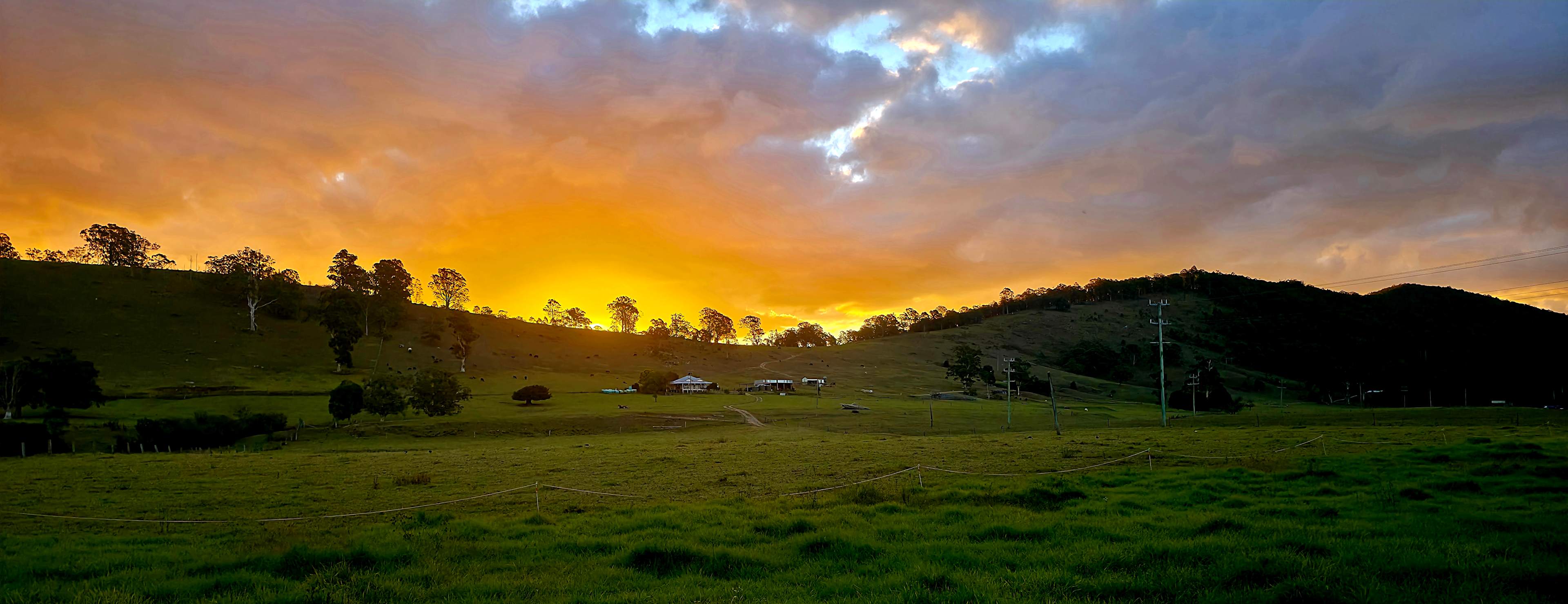 Willowbank