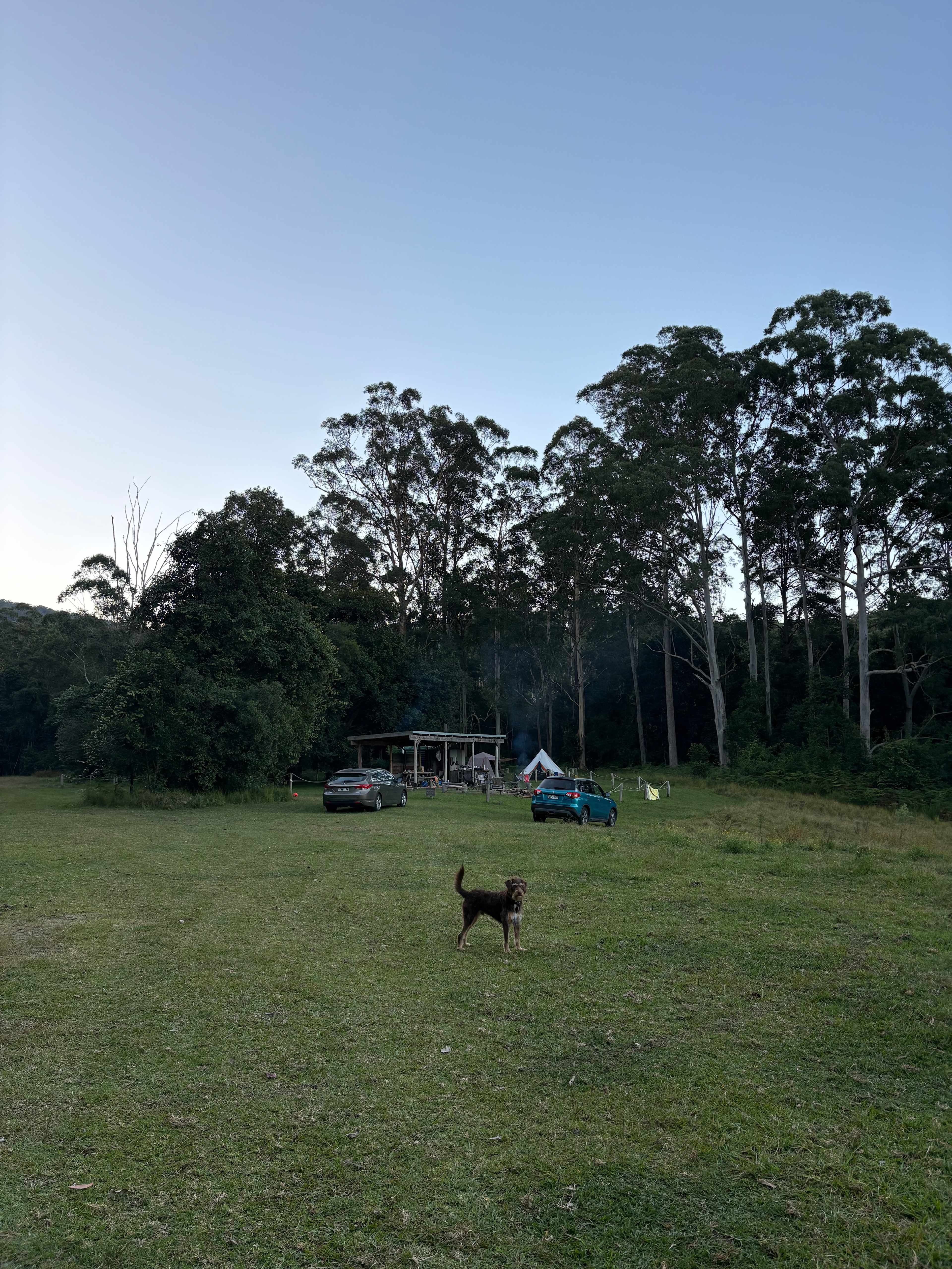 Wombat Flats Campsite: Martinsville