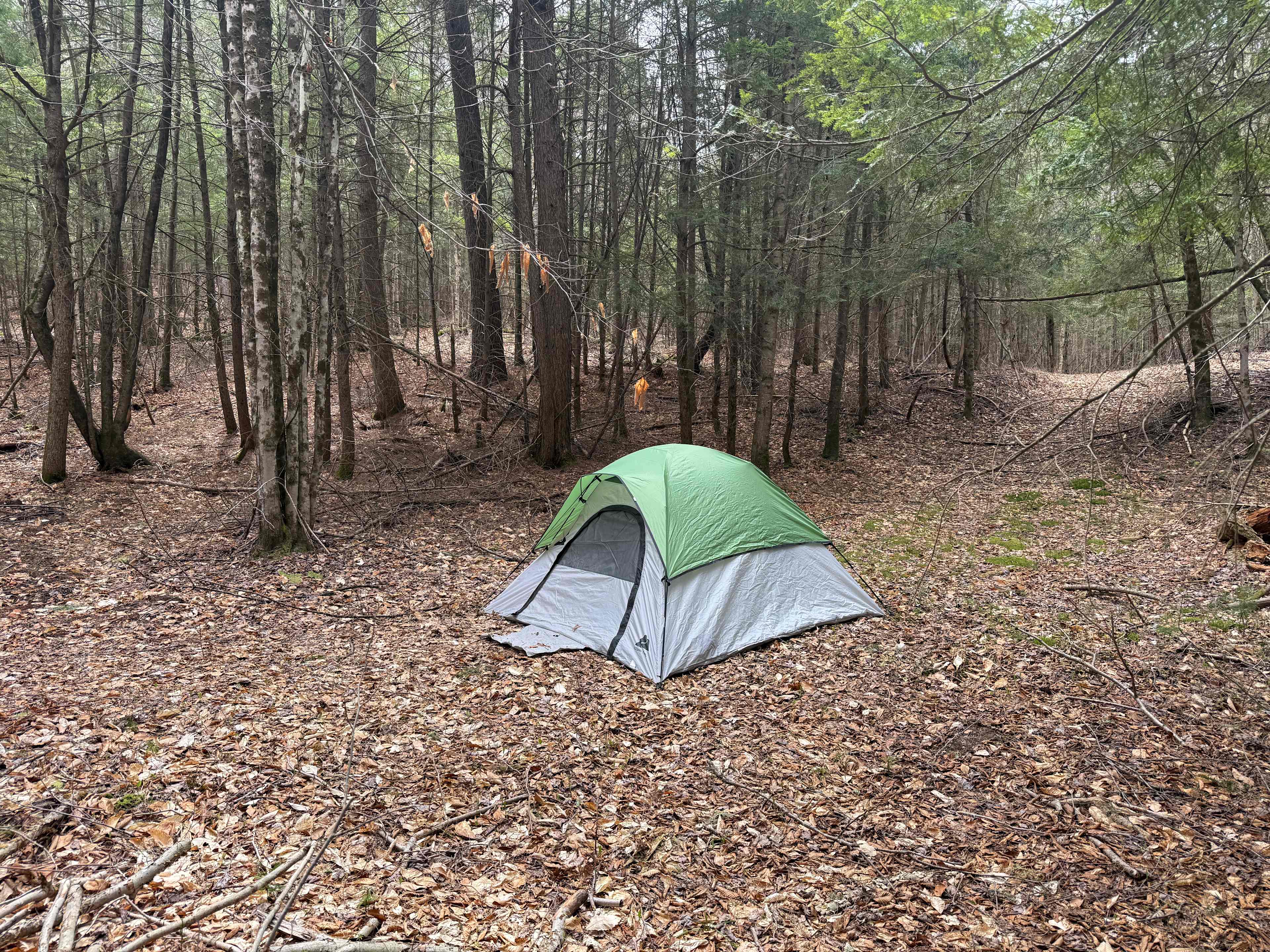 Fish house campsites