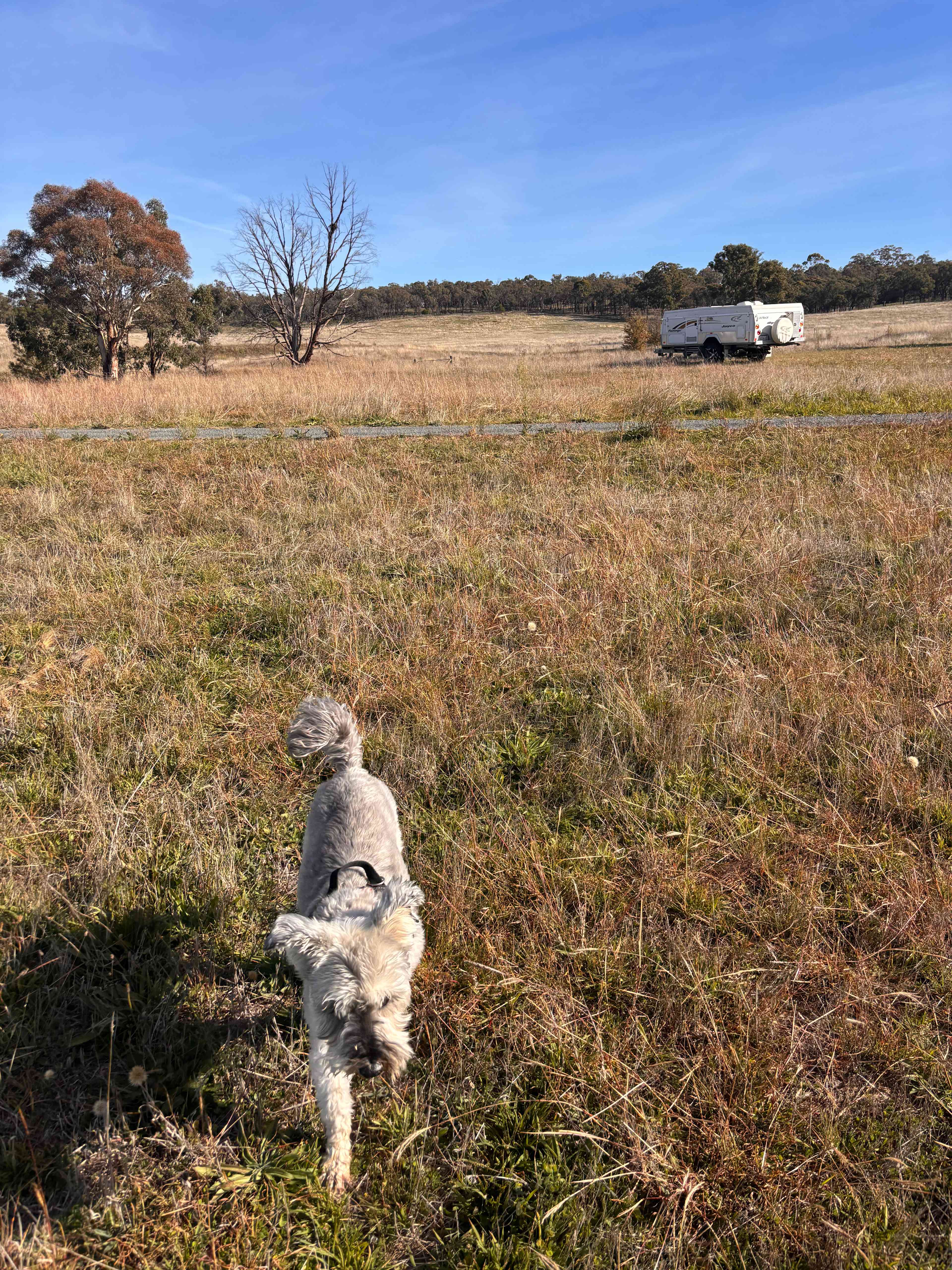 PEACEFUL RURAL PROPERTY SUTTON, NSW