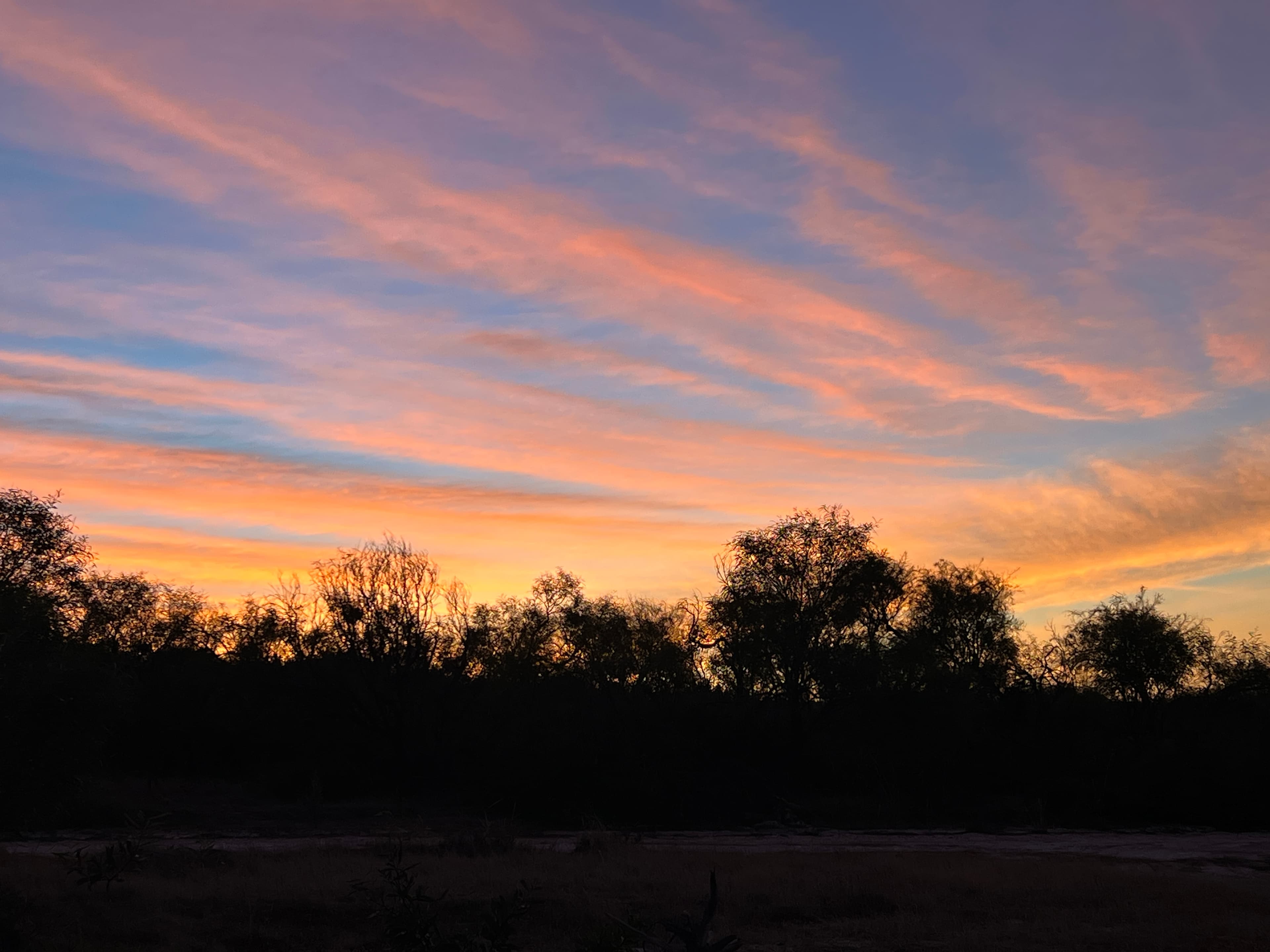 Sunrise from camp