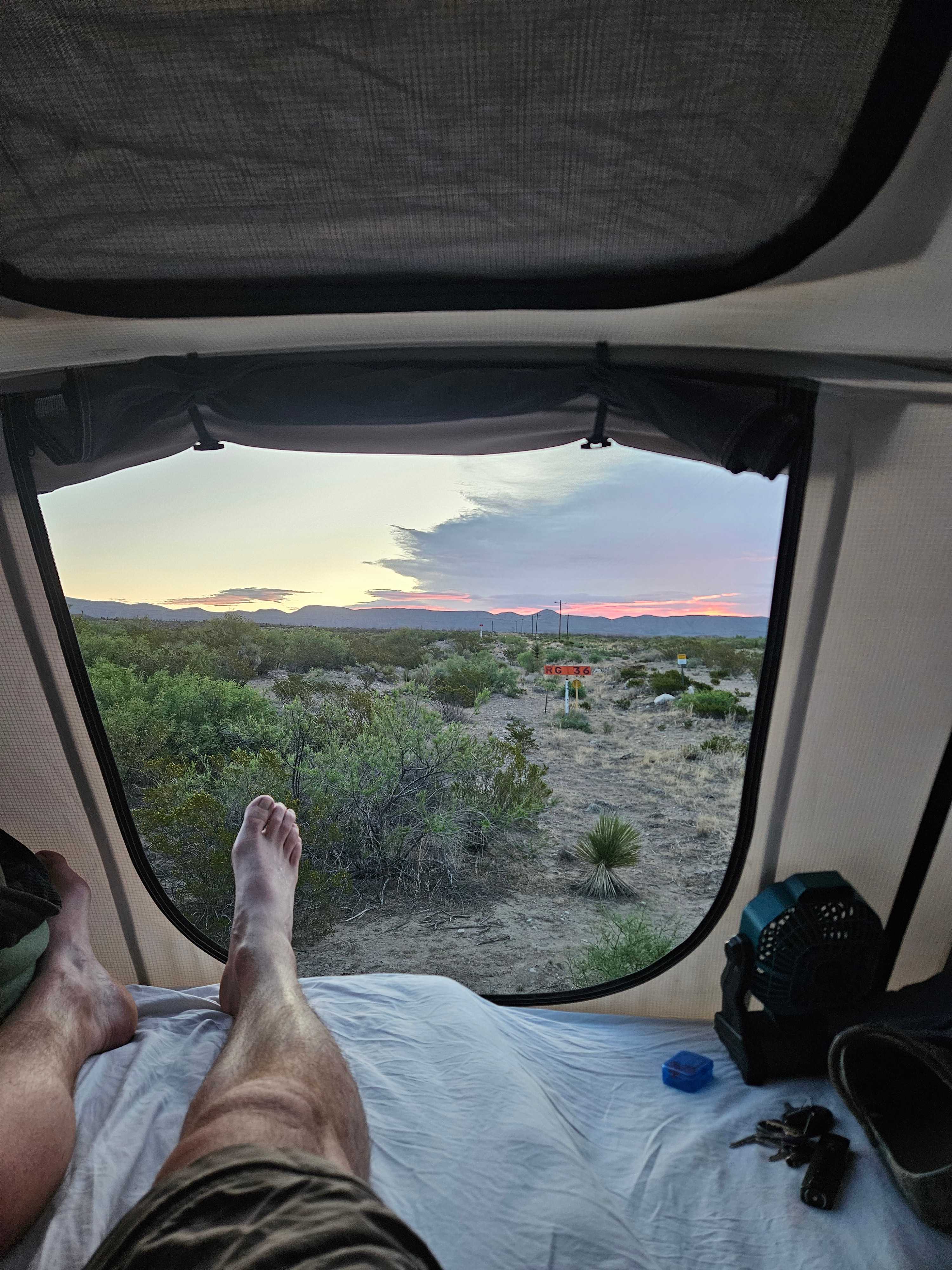 Morning view