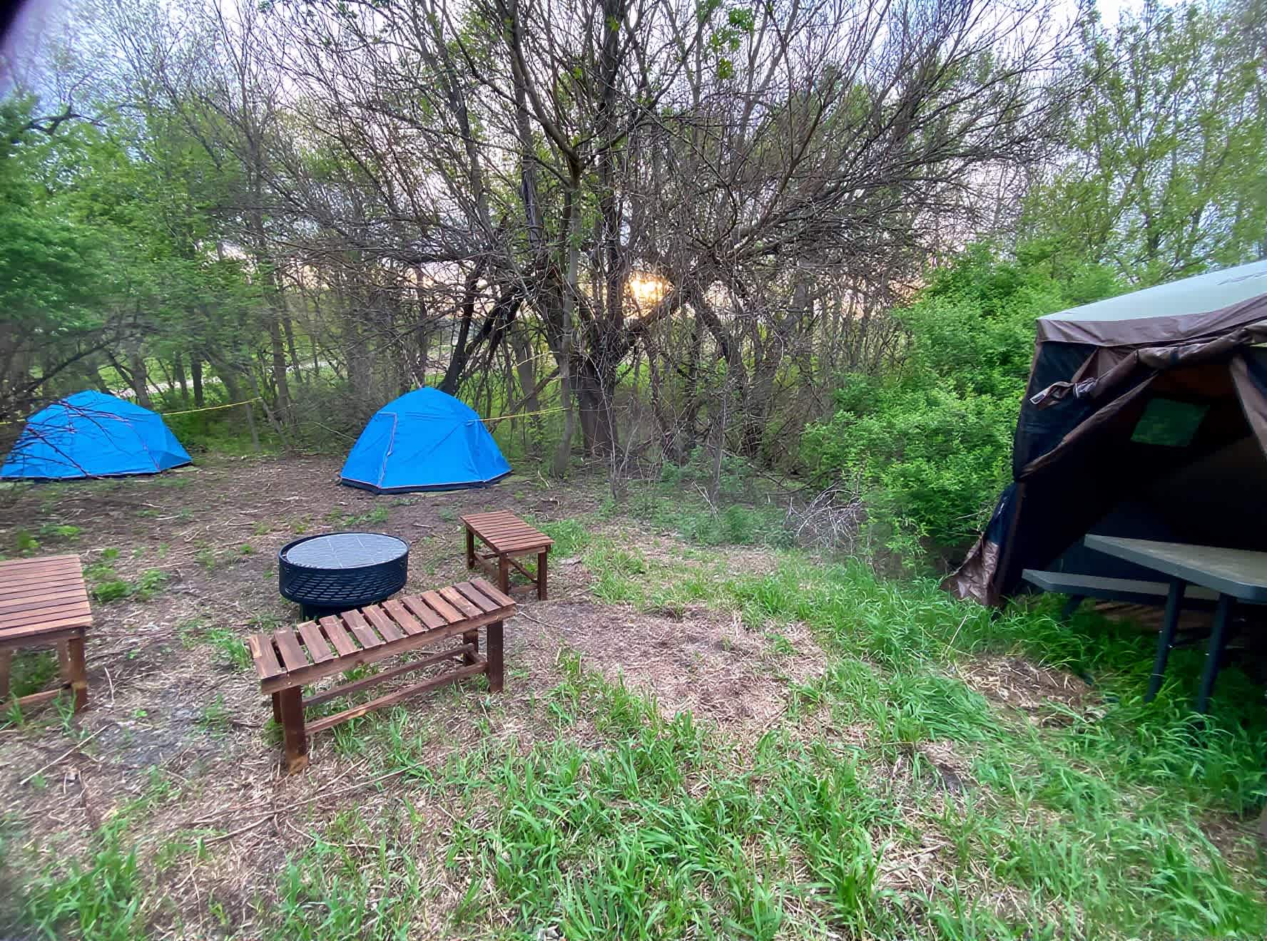 Picture of the site