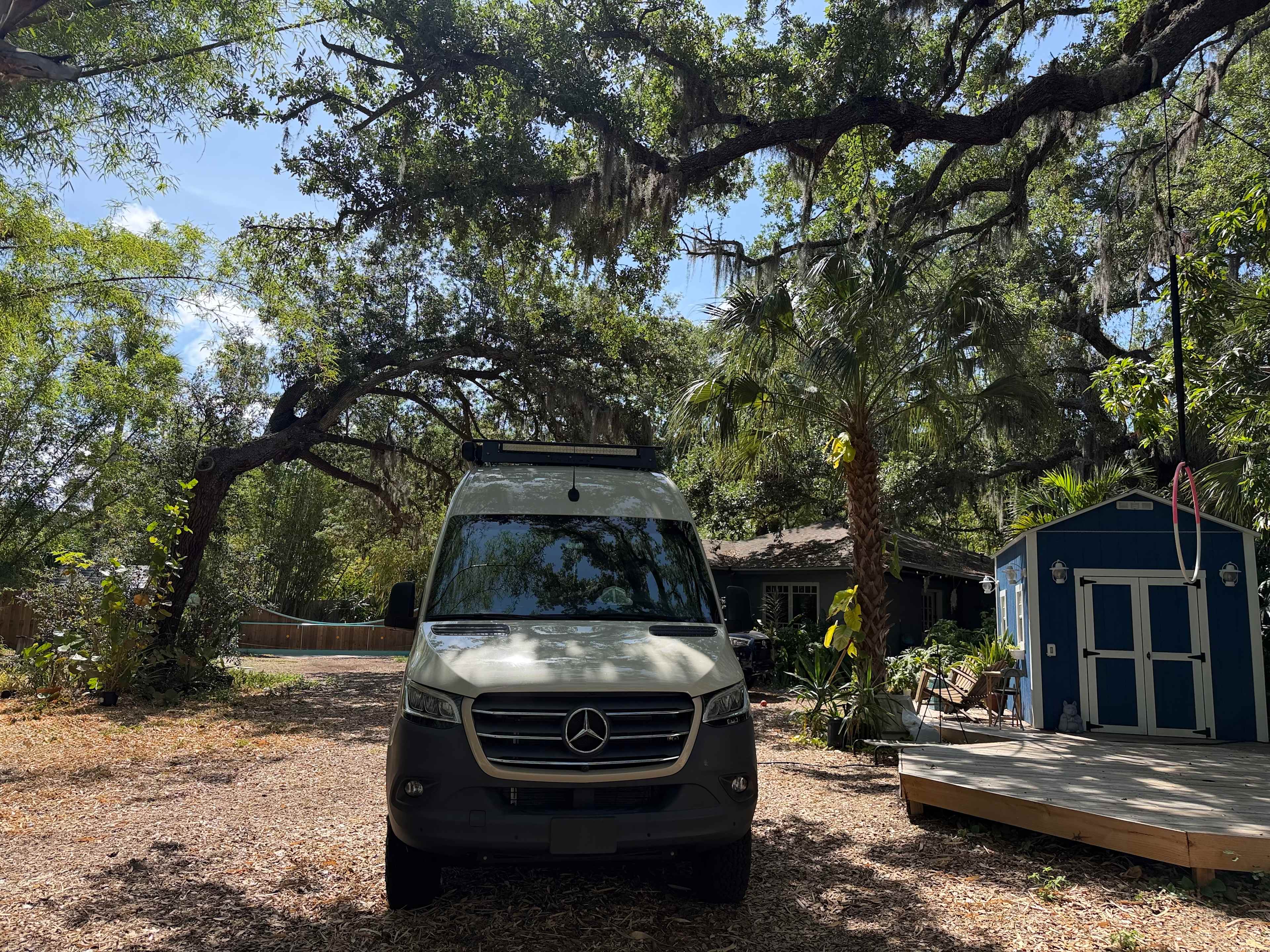 Bayou Bliss