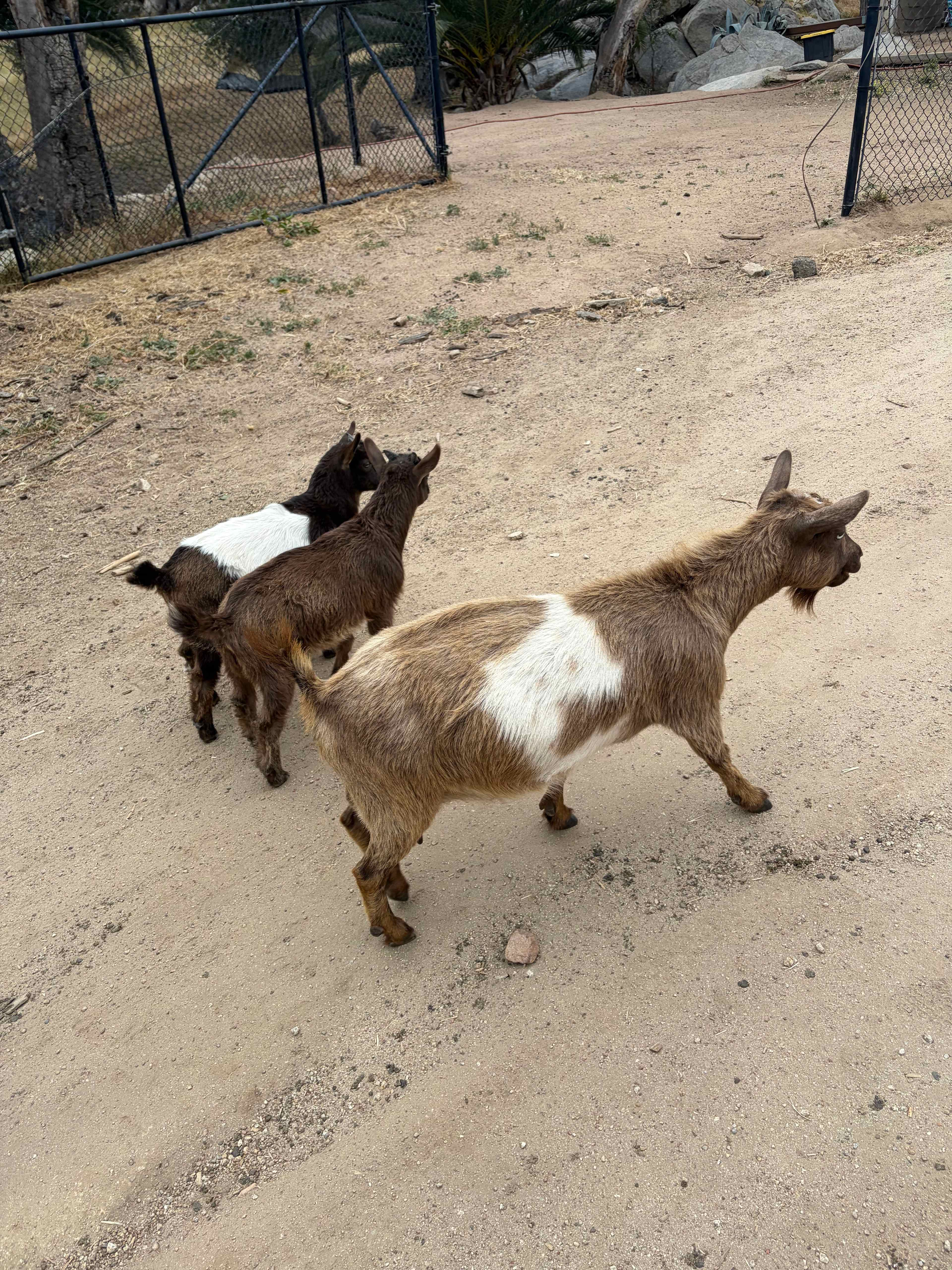 Splitrock Farm and Retreat