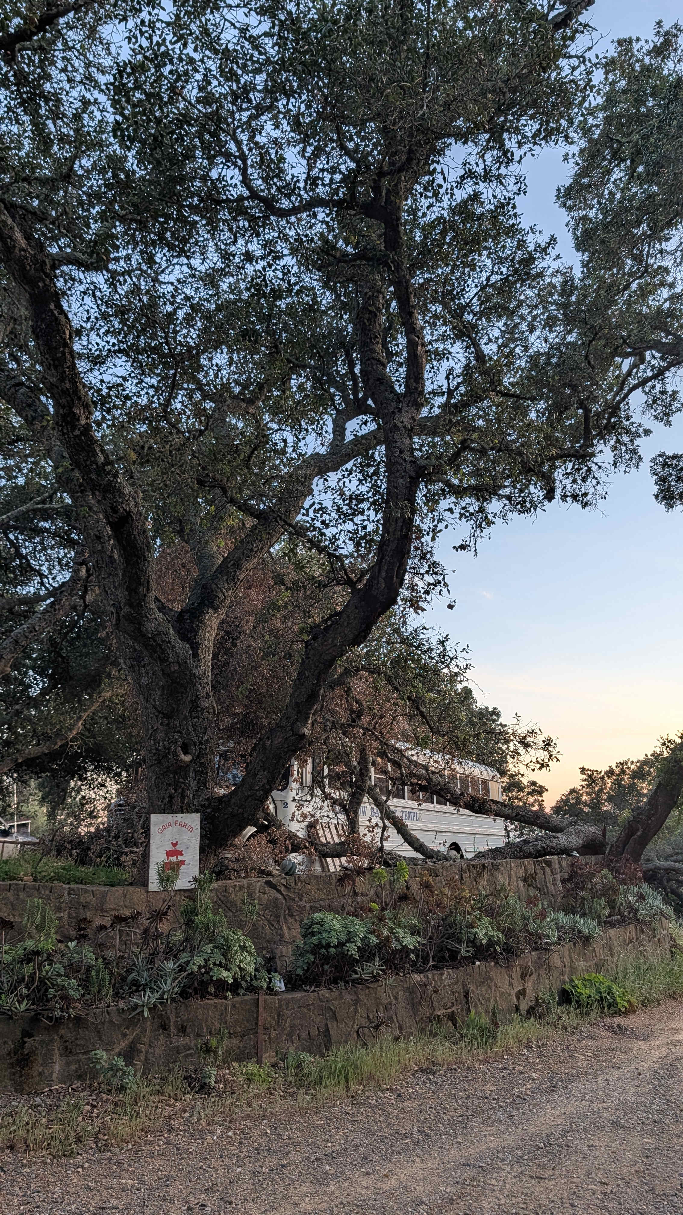 Gaia Farm Campground