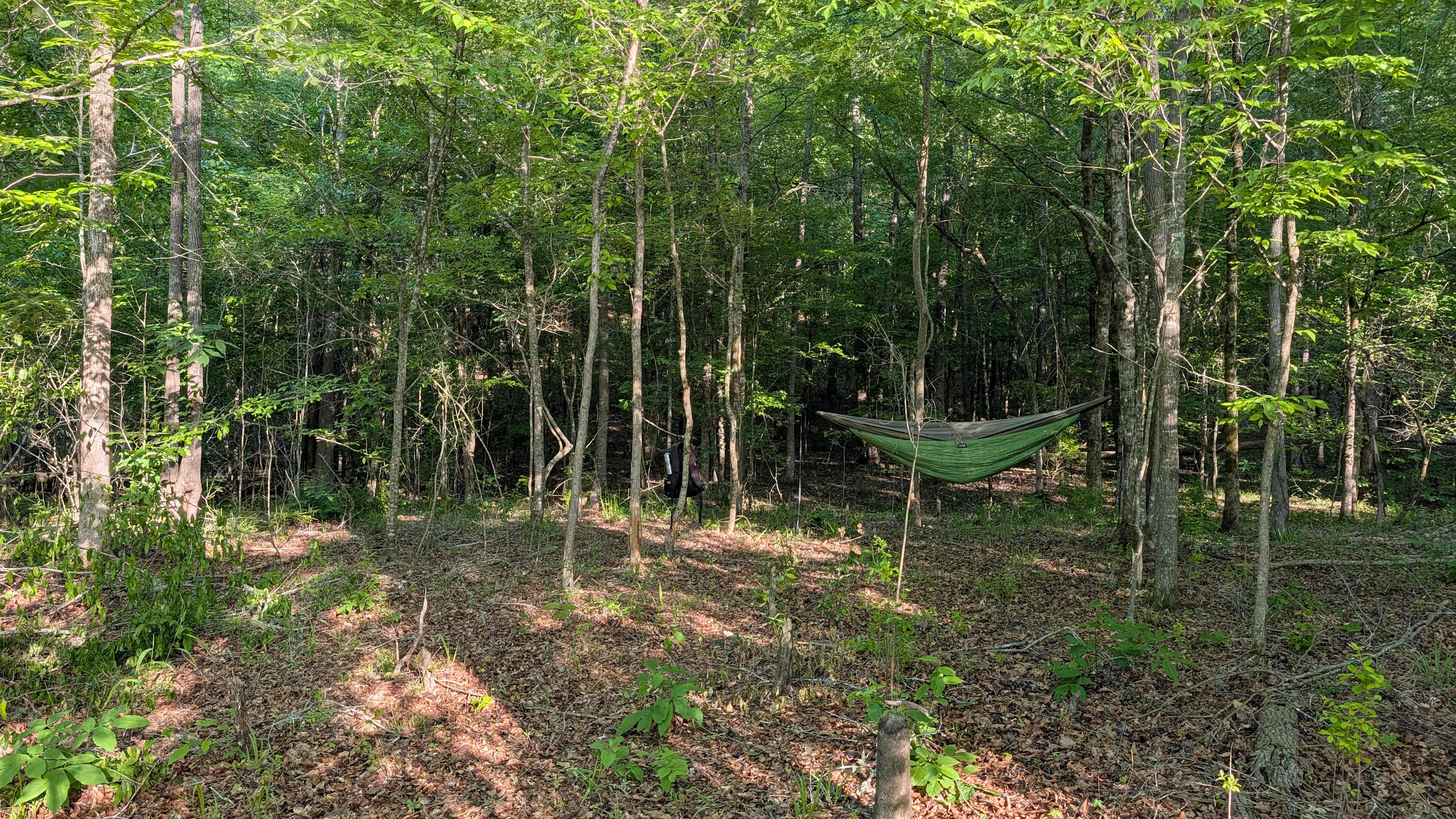 Hammock haven
