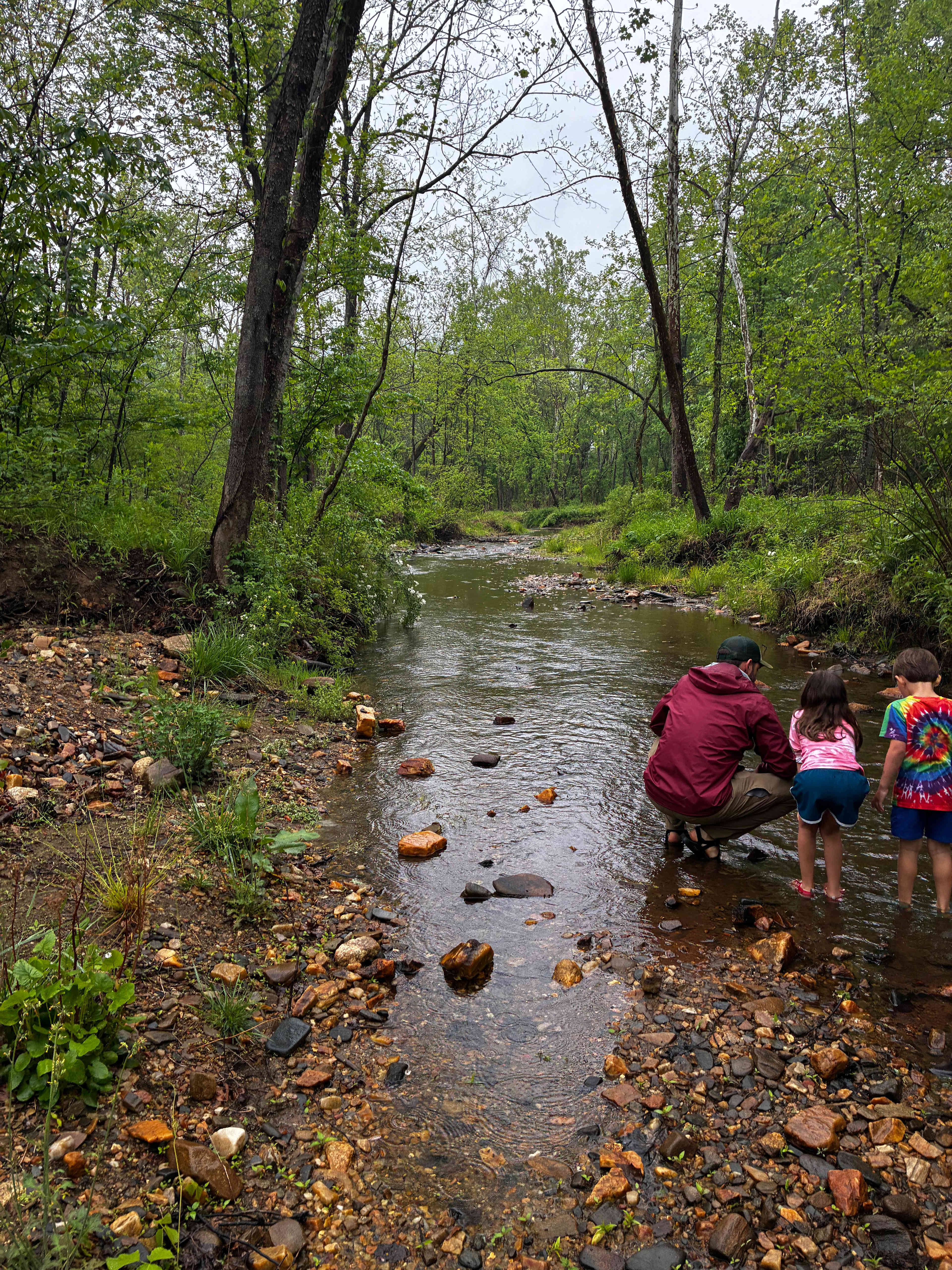 Lots of crawfish, toads, and small fish in the creek! 
