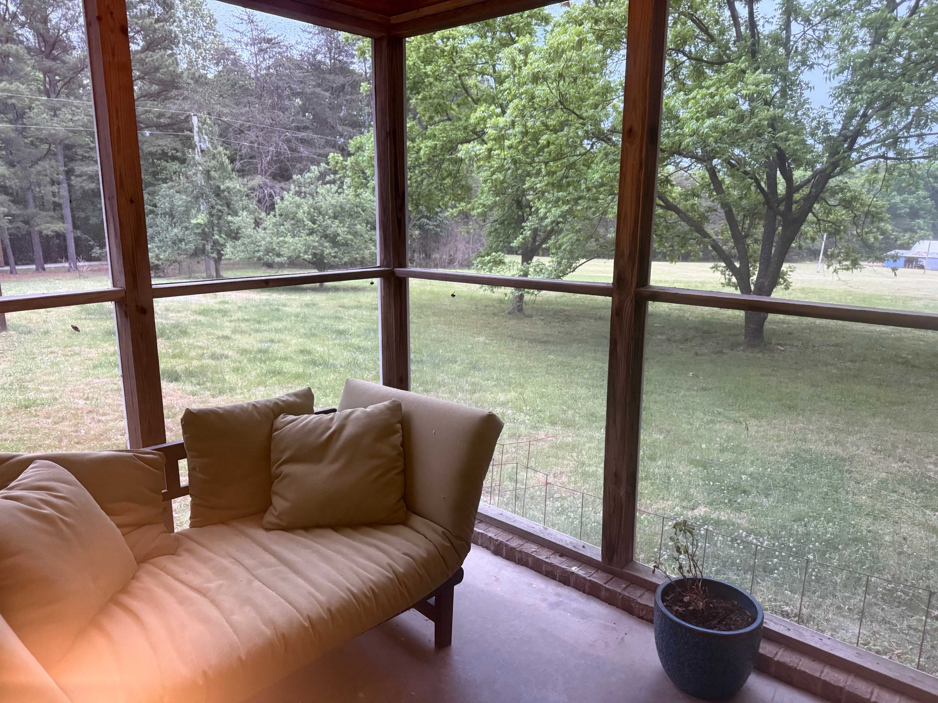 Private meadow and pond