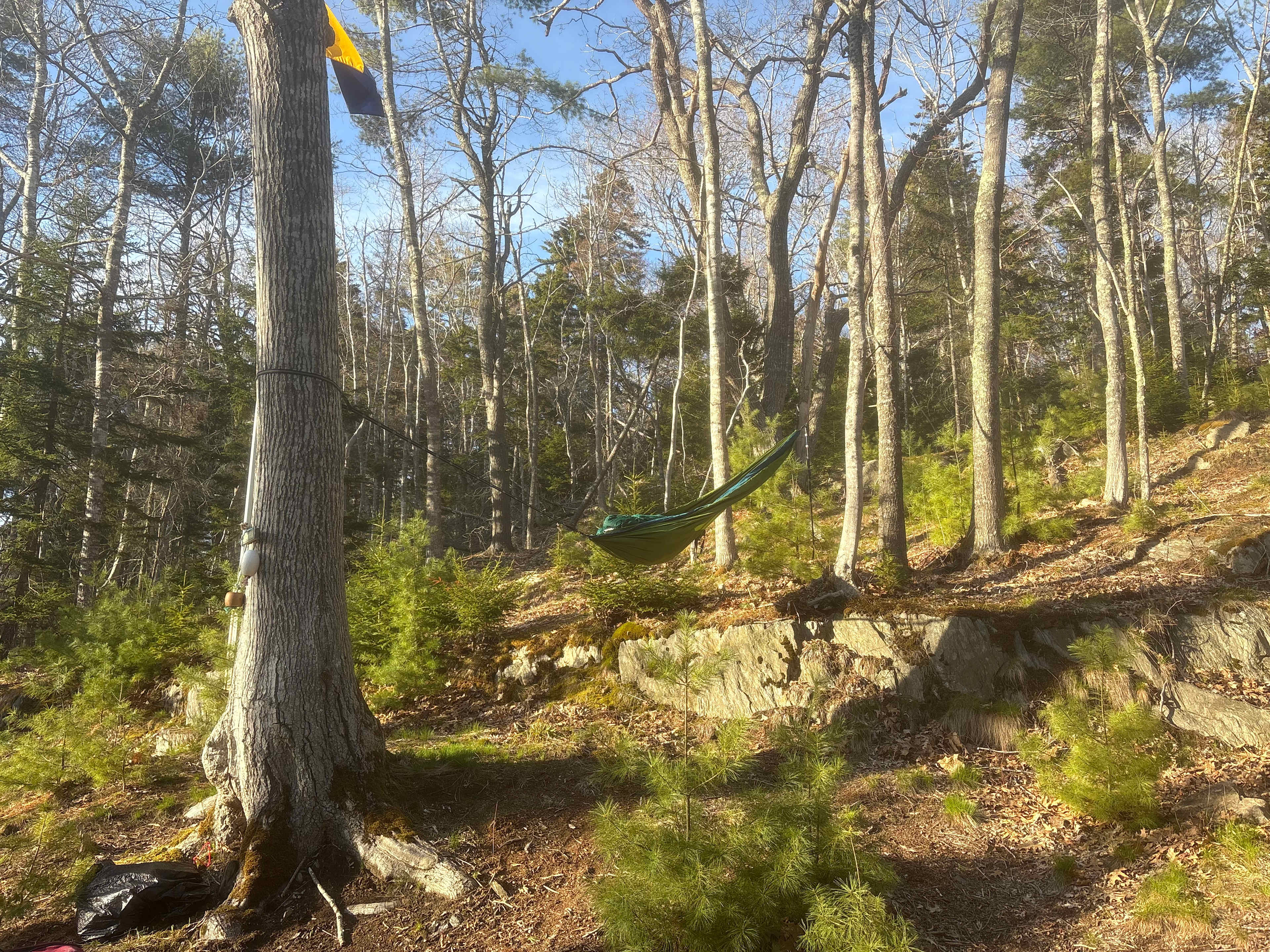 Camp Nepenthe