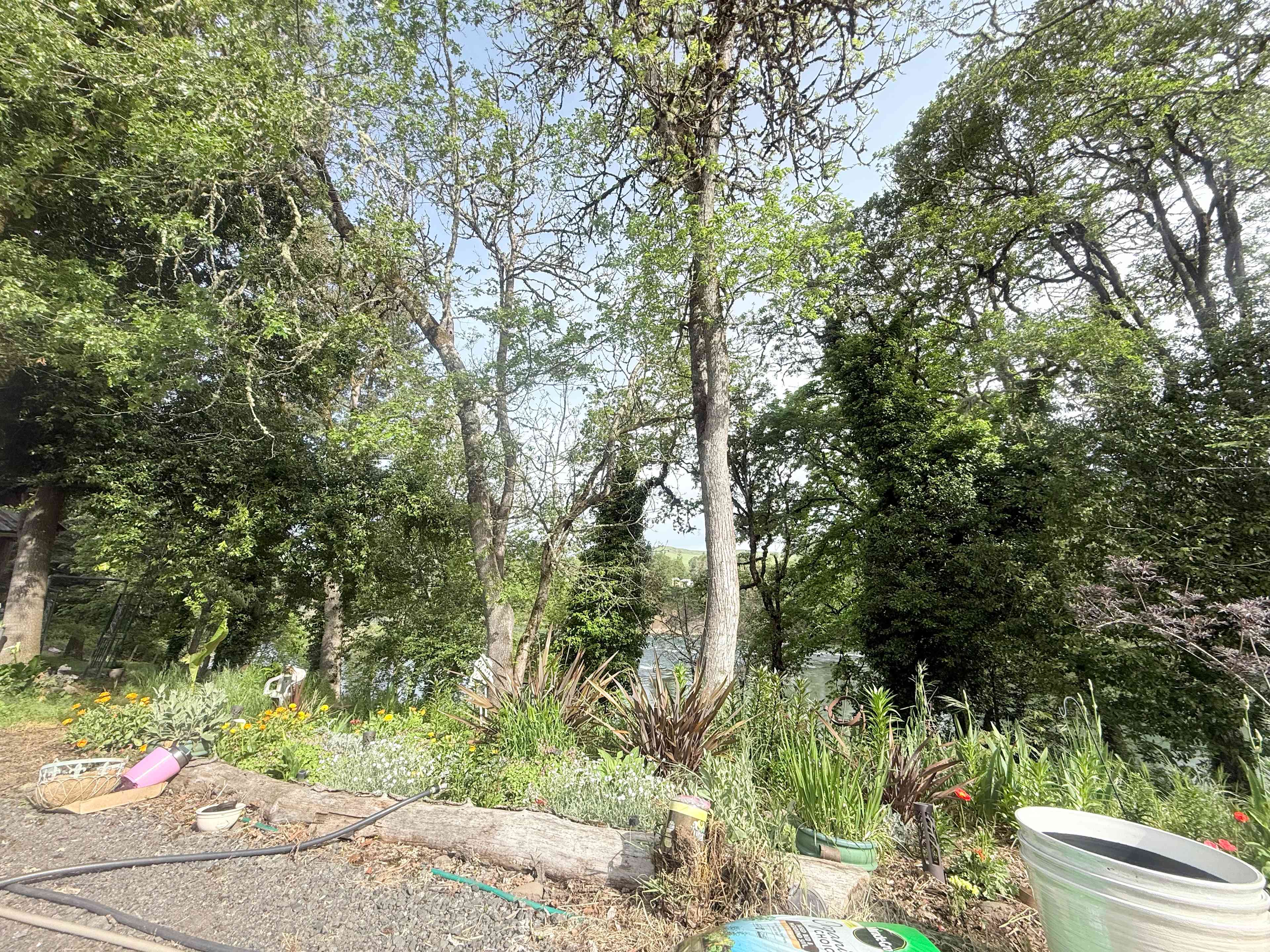 Double DD Roadside River View