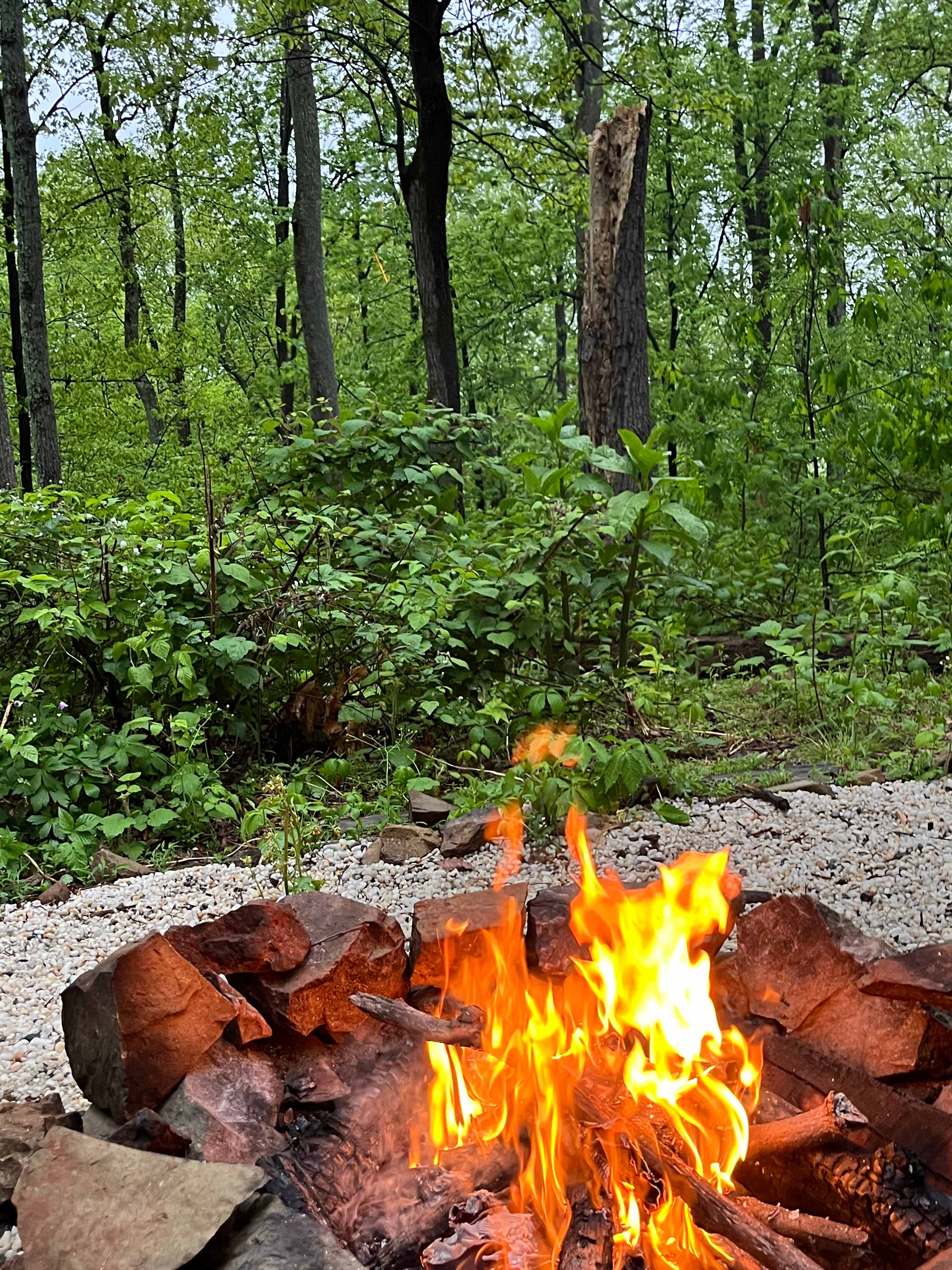 Cozy fire pit! 