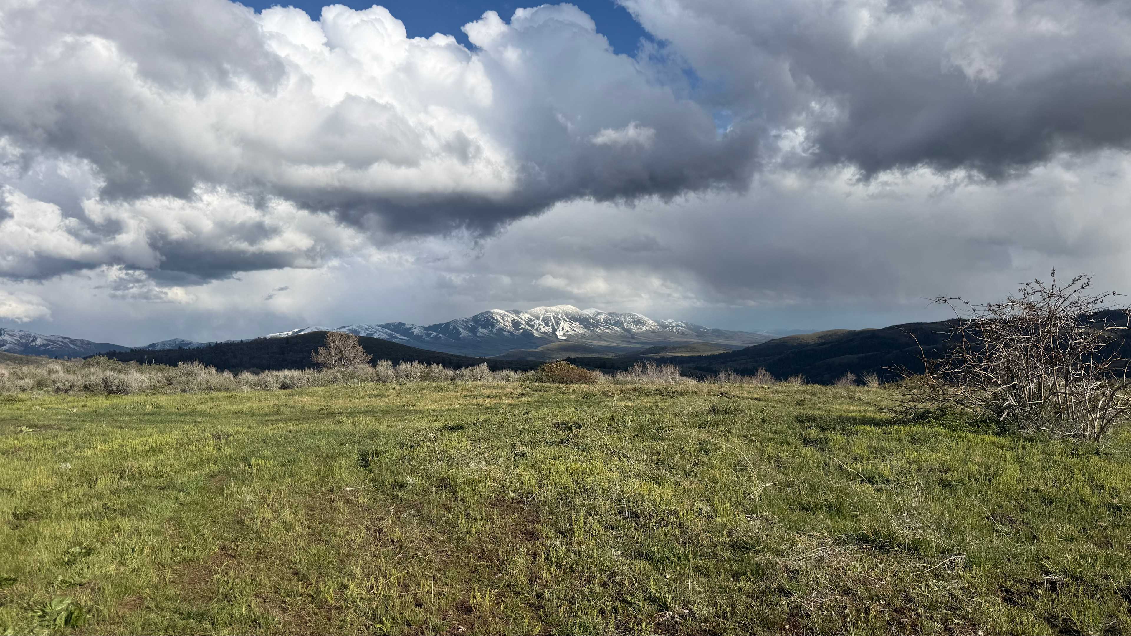 Moonlight Mine Acres