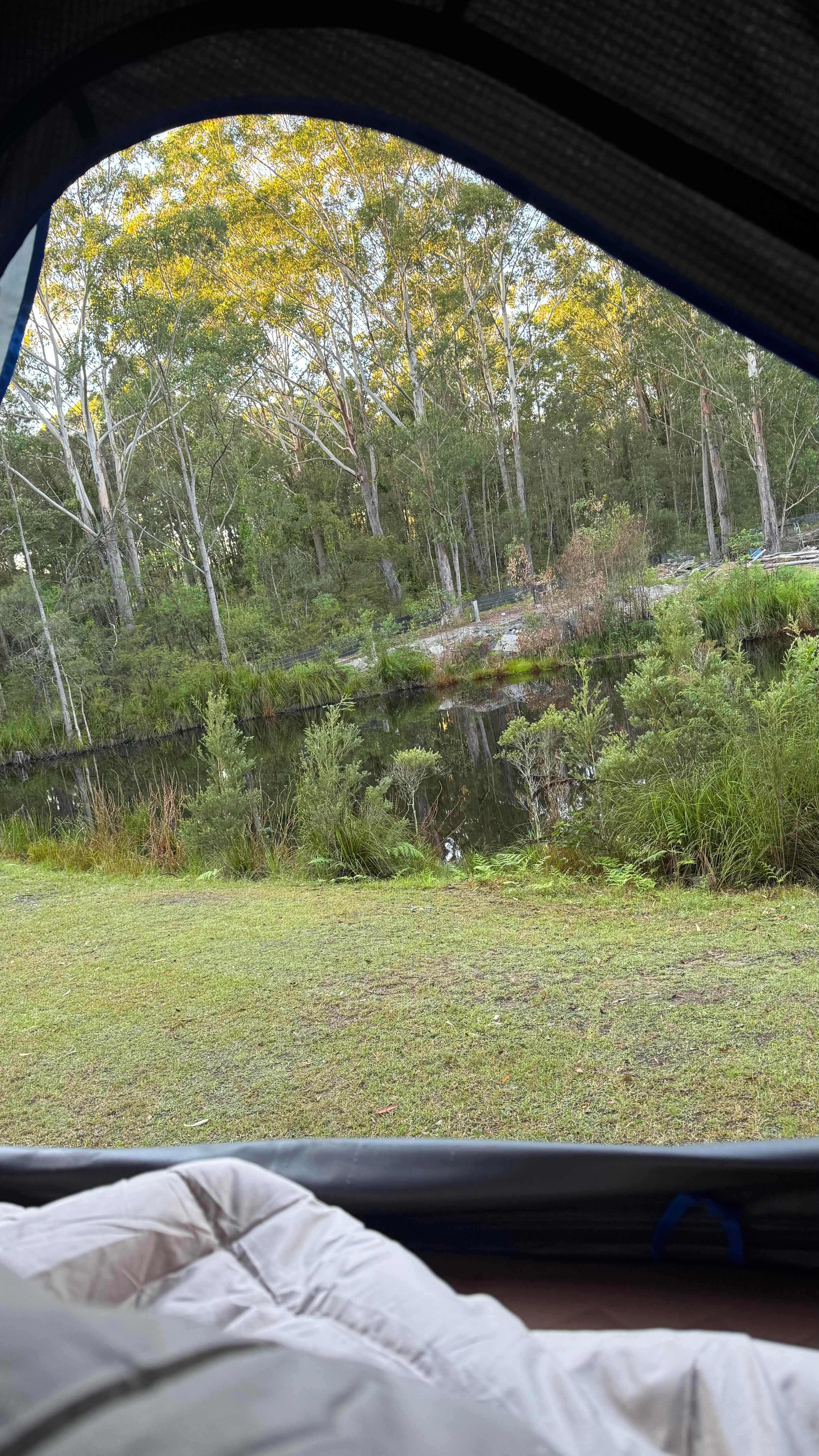 Mistinthegumtrees BUDGET 2 GLAMPING