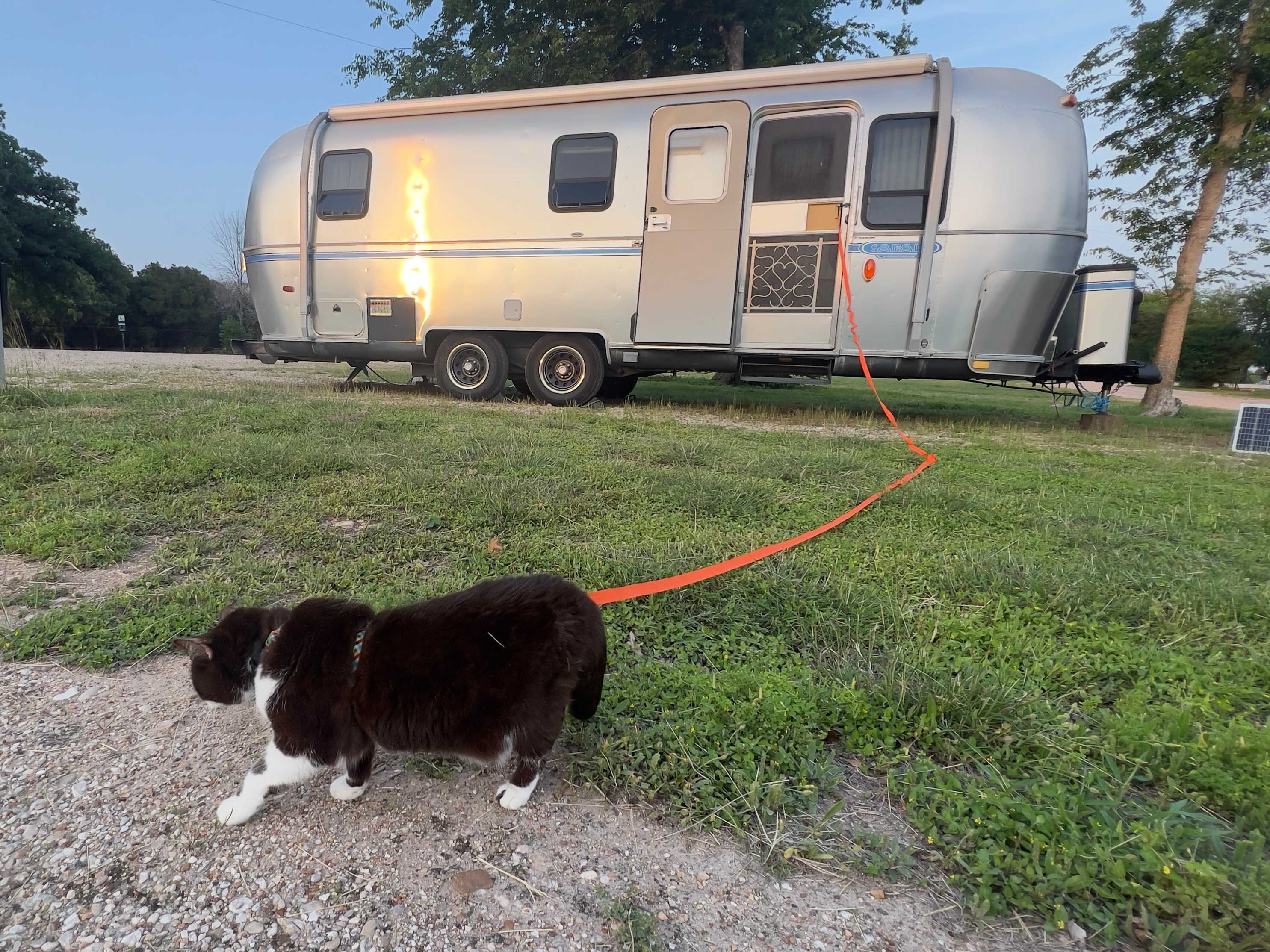 Nicole Creek Cabins and RV Park