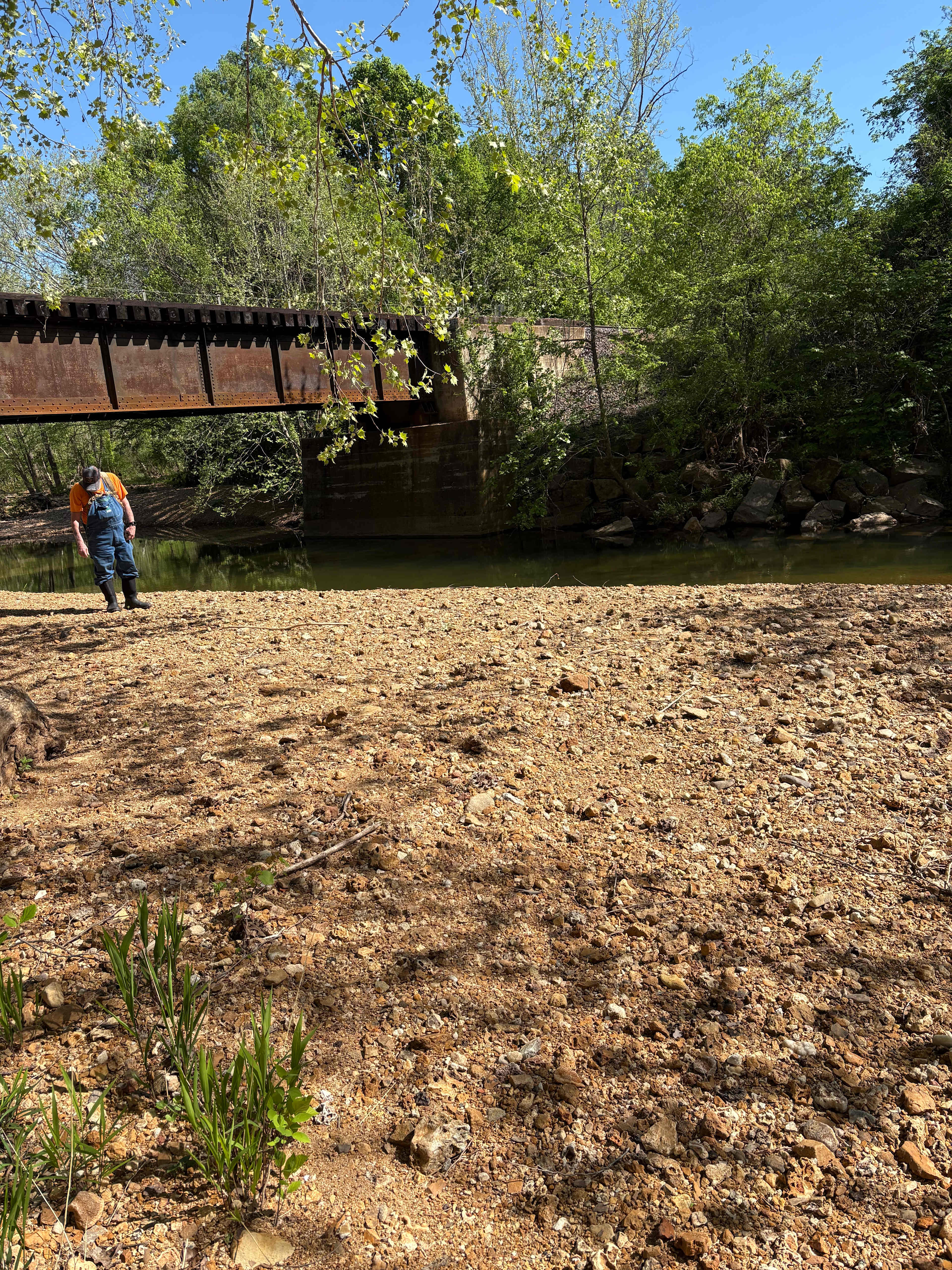 Hawks Bluff Farm Campground